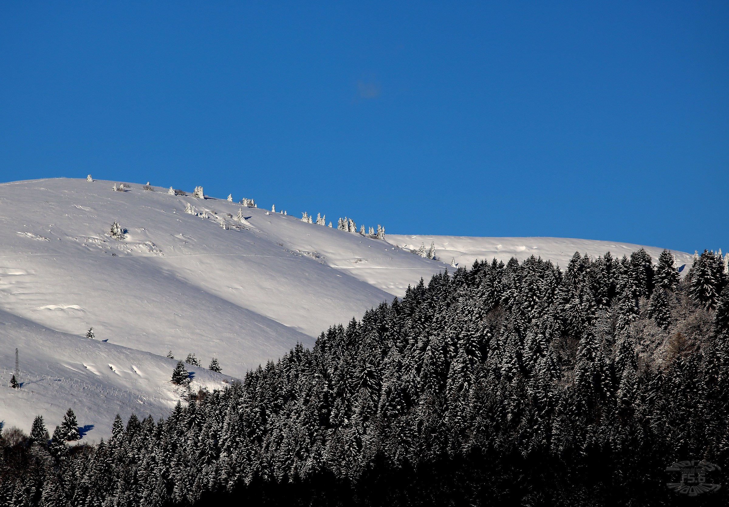In the Grappa massif