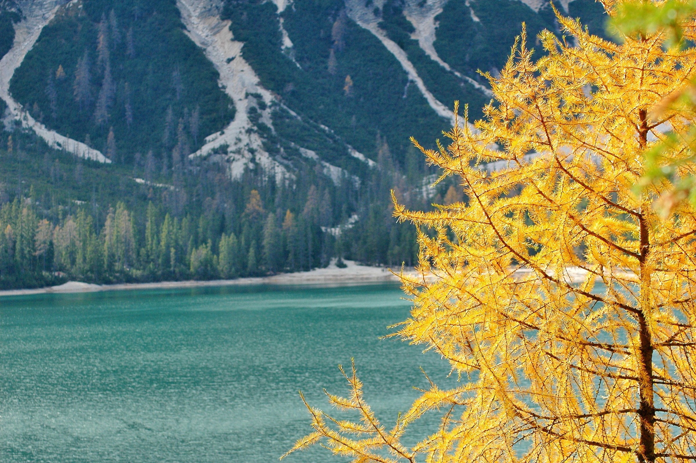 foliage on Lake Braies