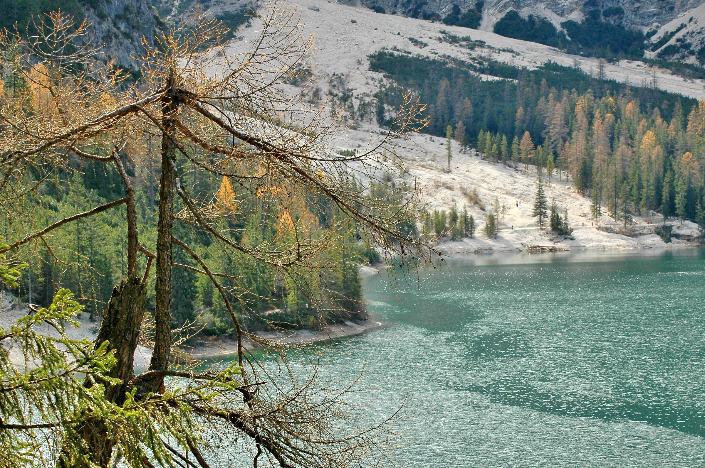 foliage on Lake Braies