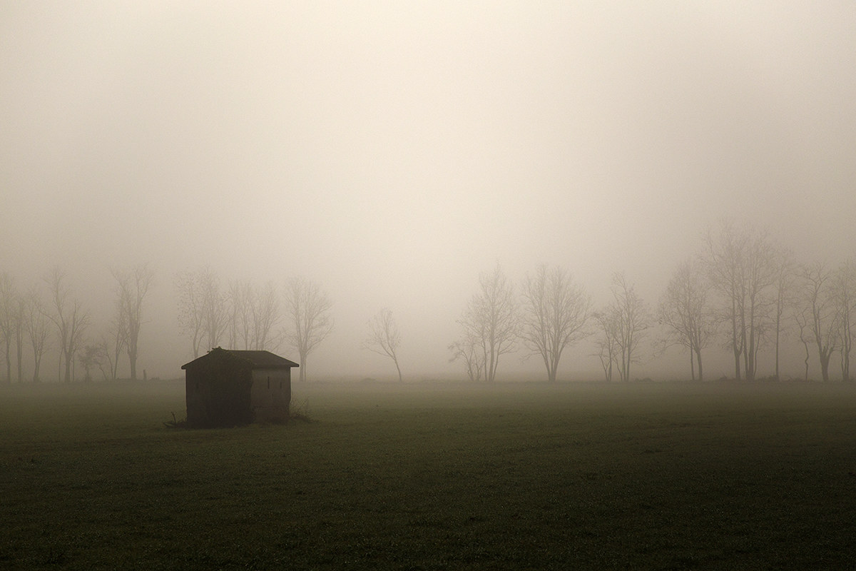 One morning with fog