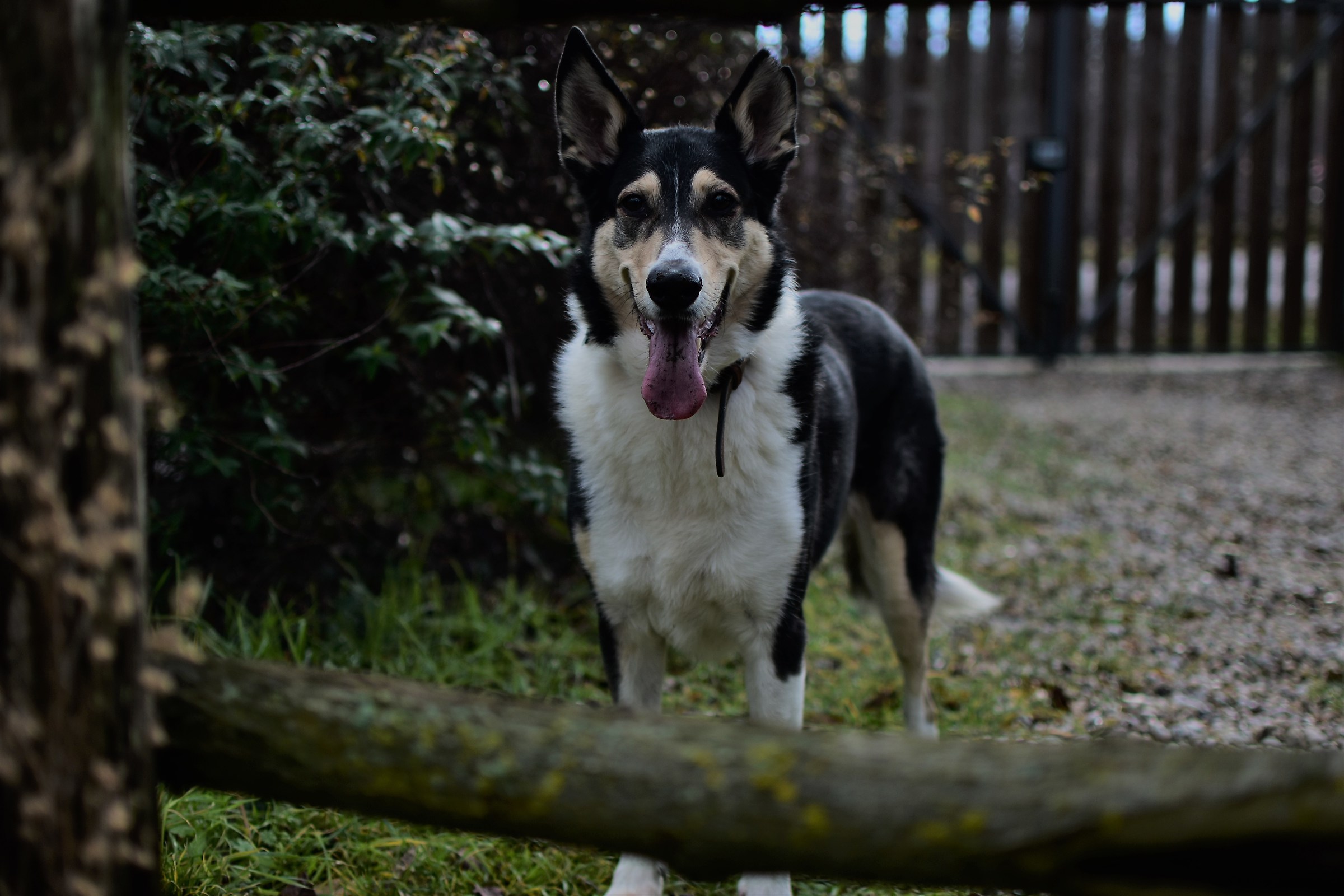 Otto non....botto a capodanno!