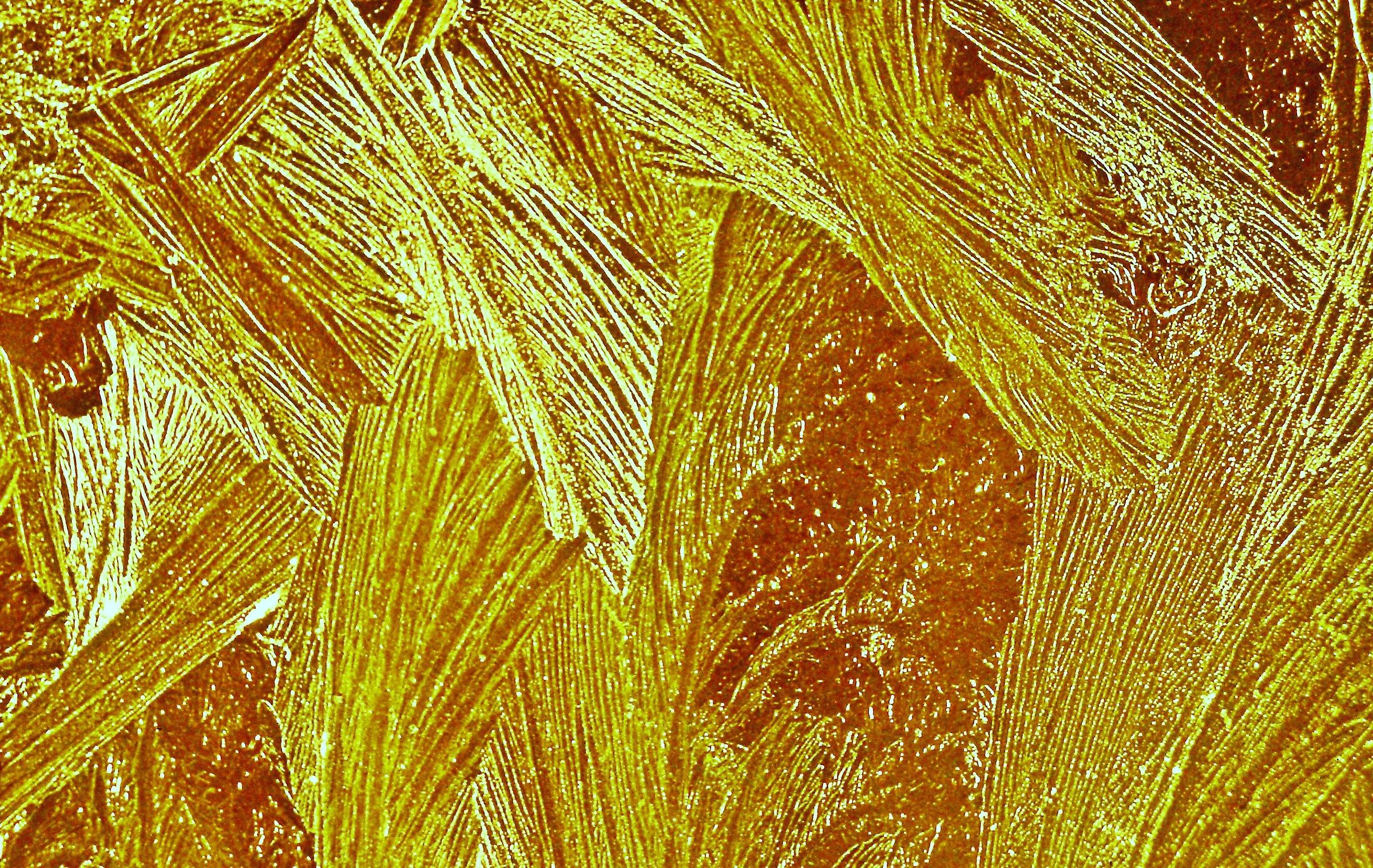 2678 - gelidi arabeschi