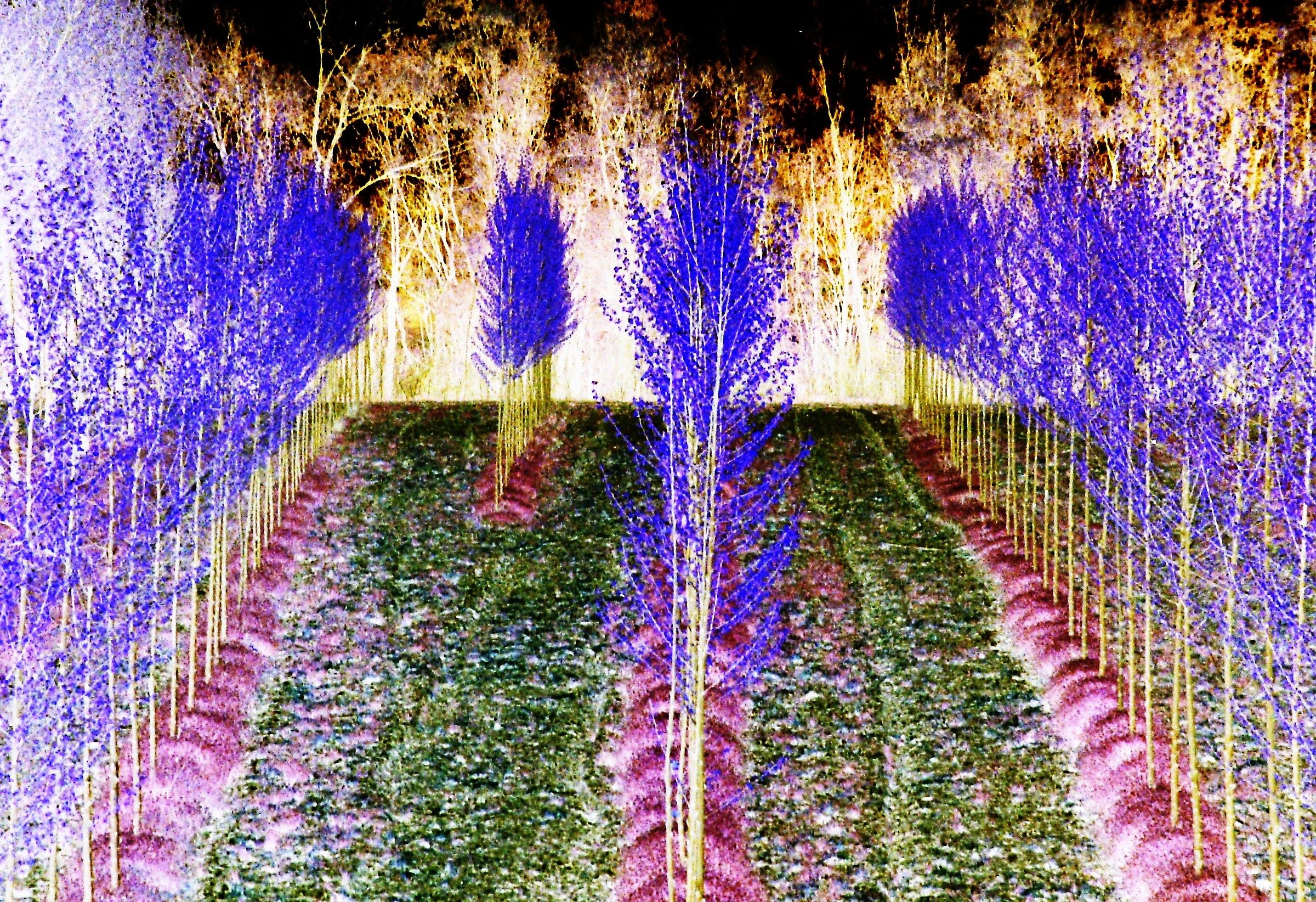 2706 - populus populorum