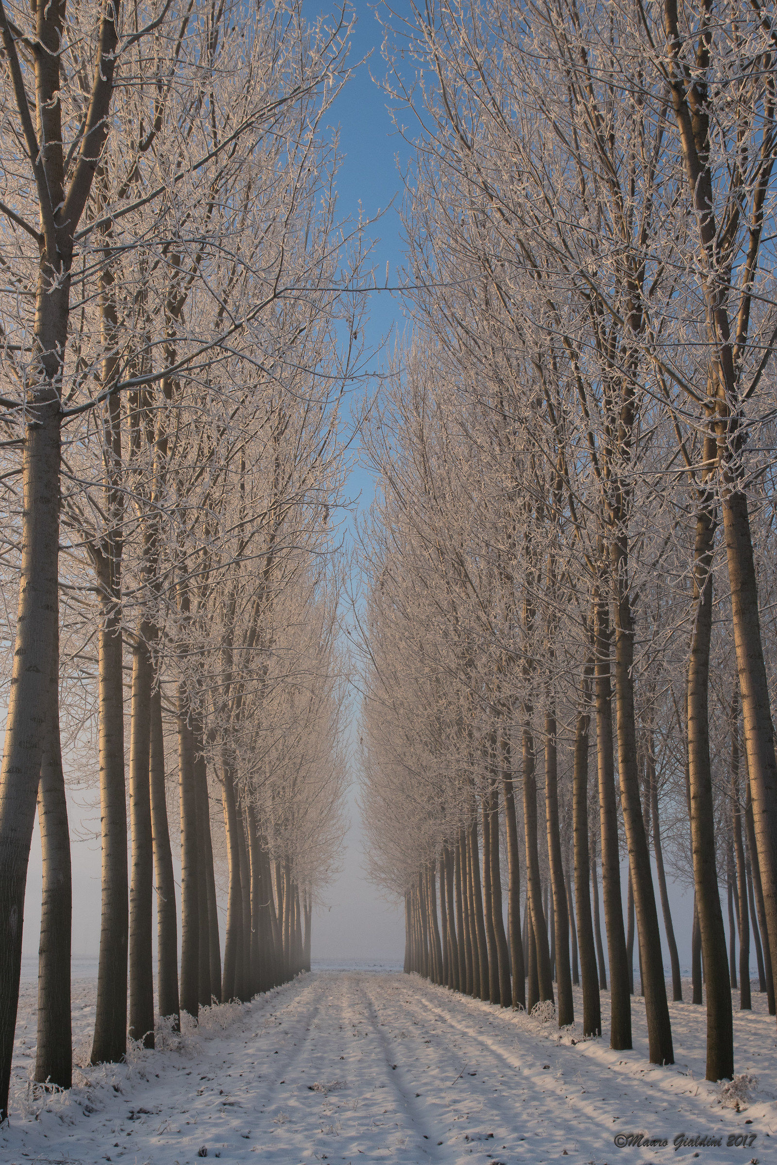 Straight towards the winter