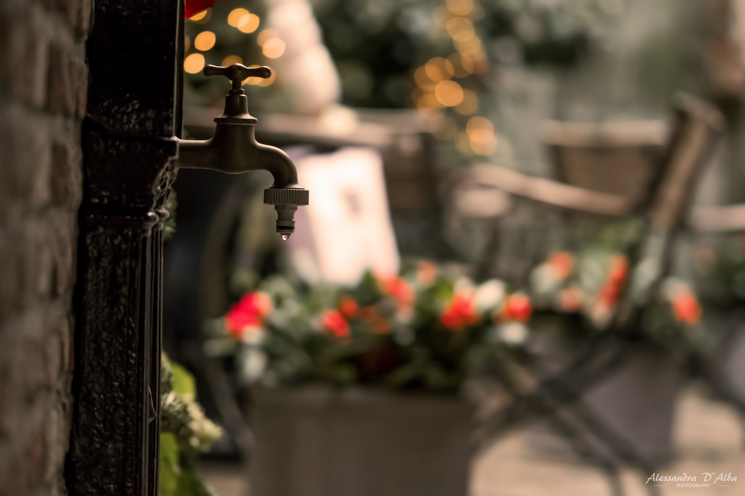 Forgotten drinking fountain