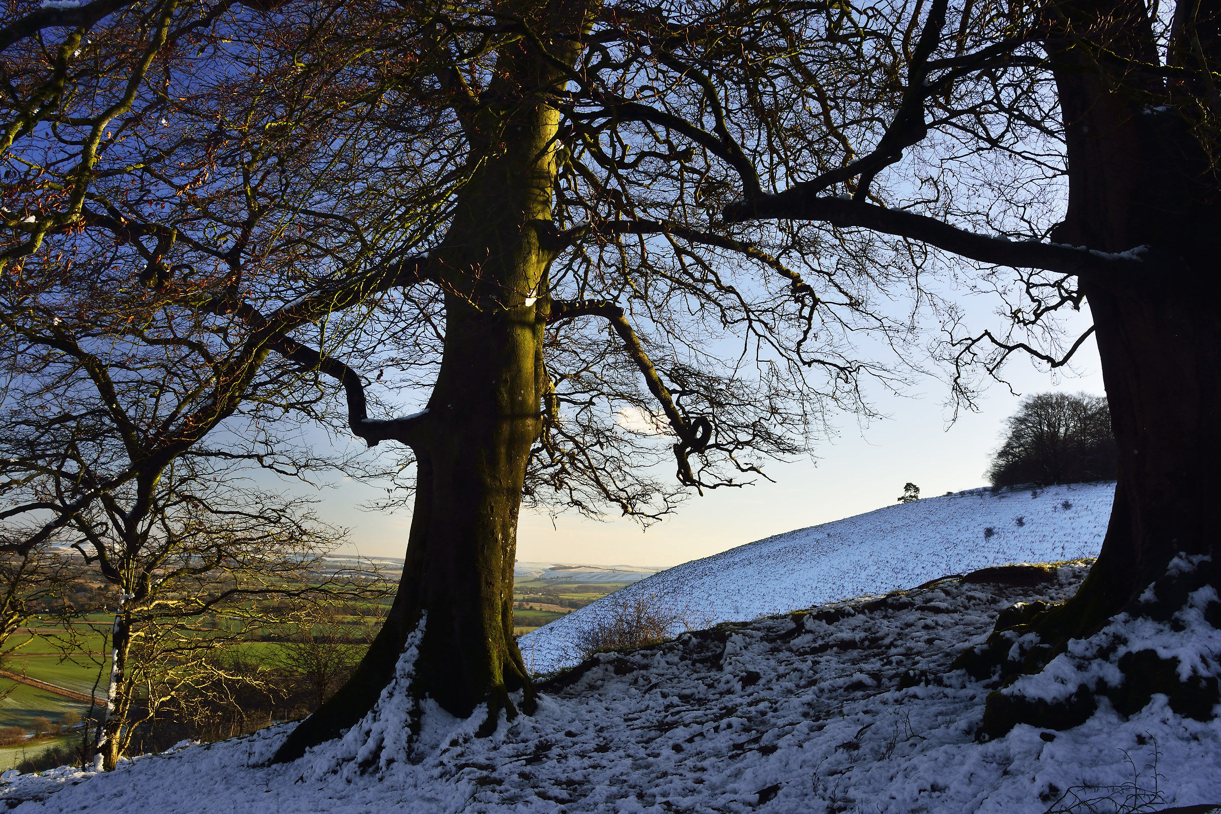 Lascia che ci sia neve!