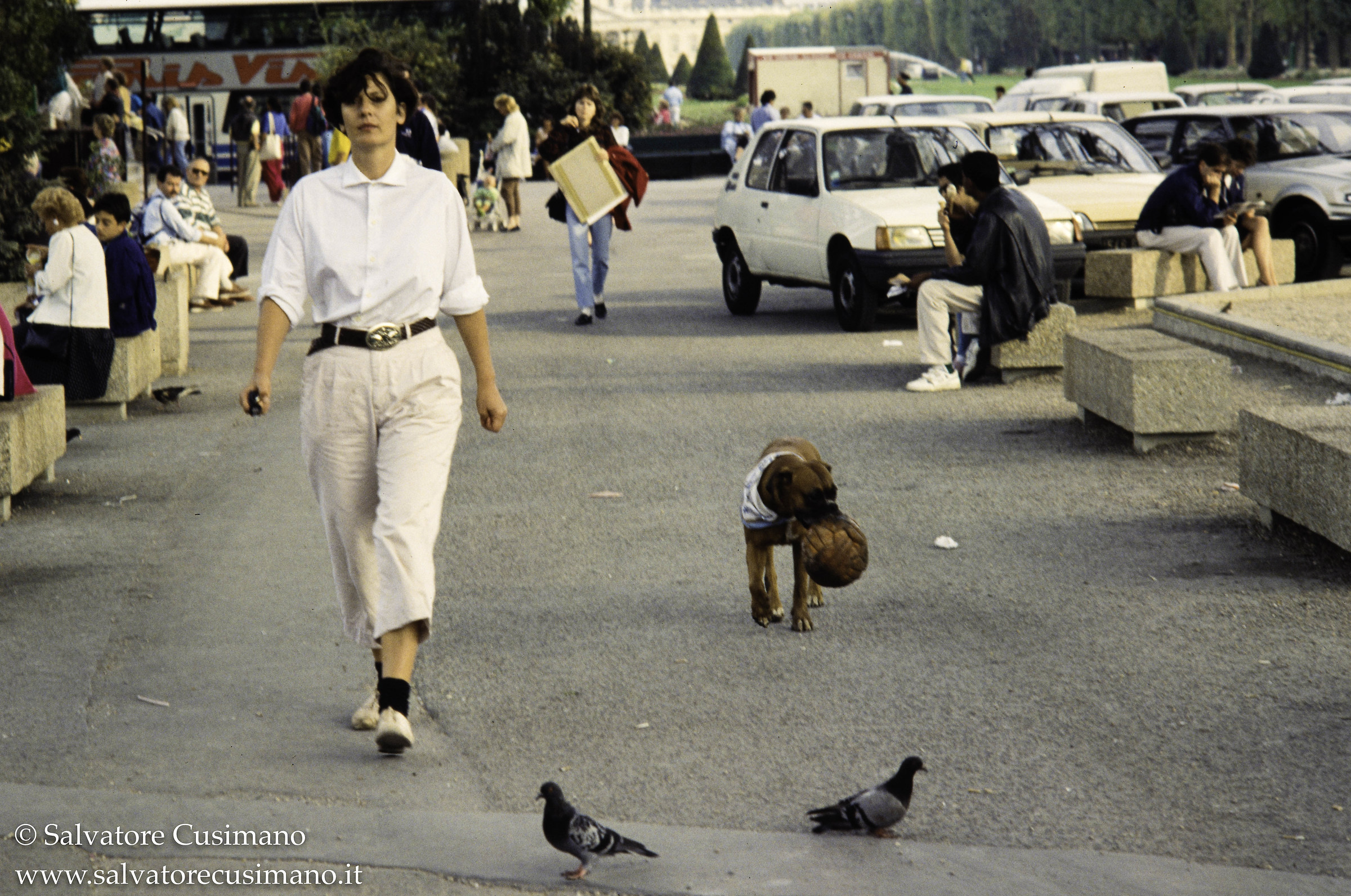A passeggio con Bobby