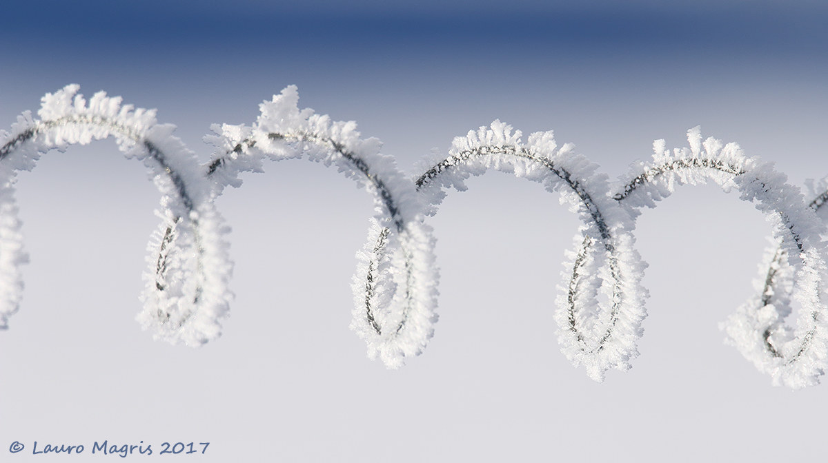 Spirale di cristallo