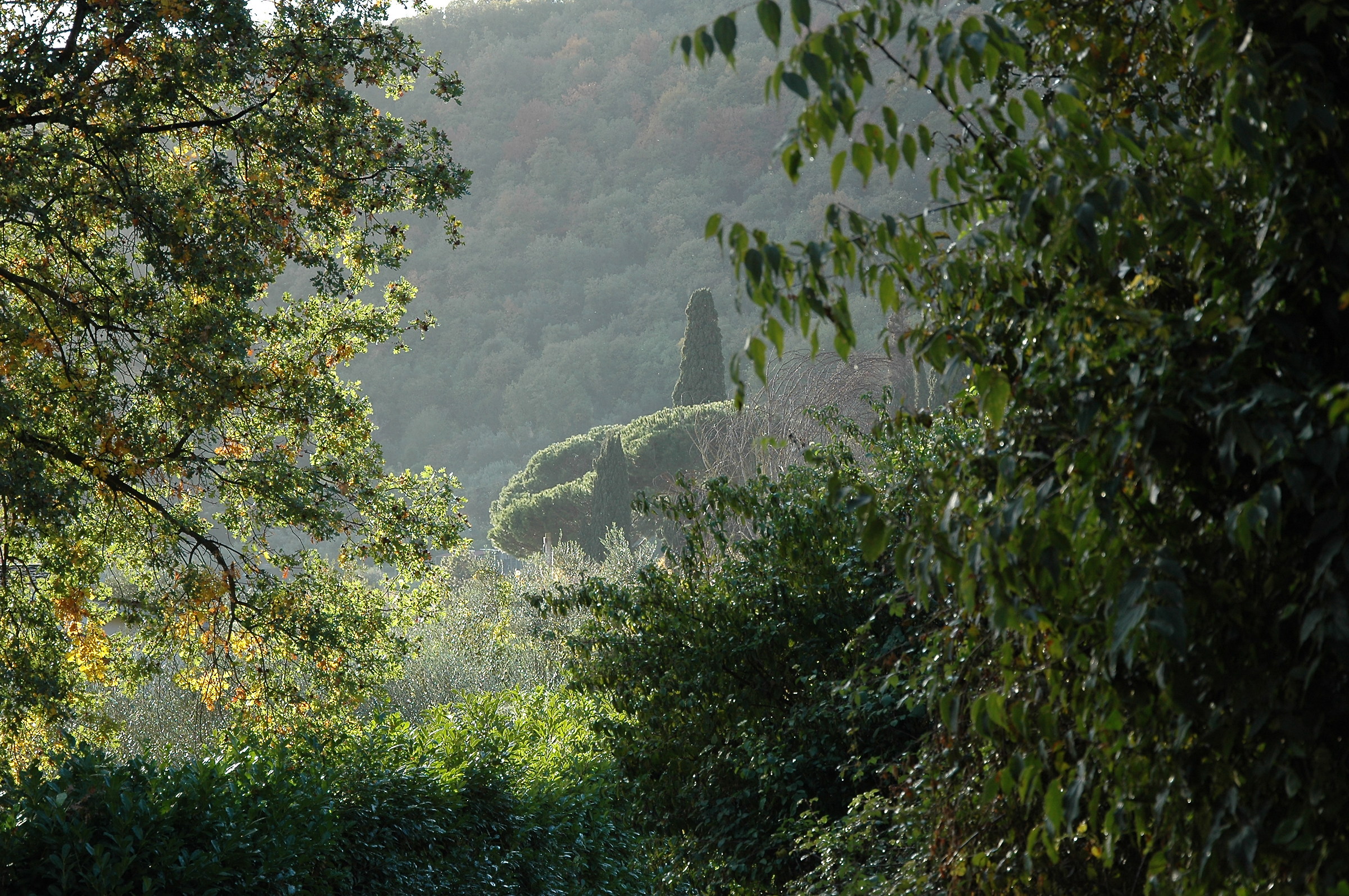 on the lake of Bracciano