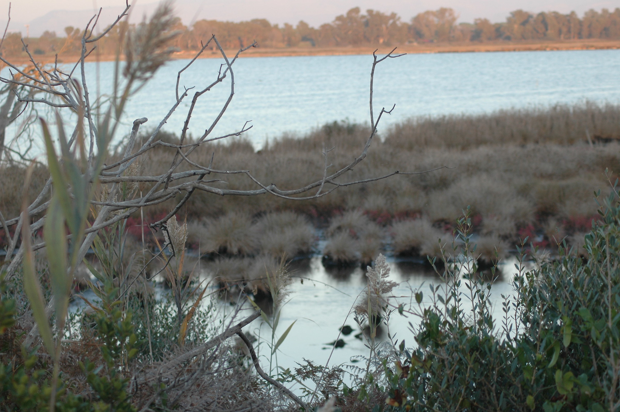 lake of the Monaci, Sabaudia