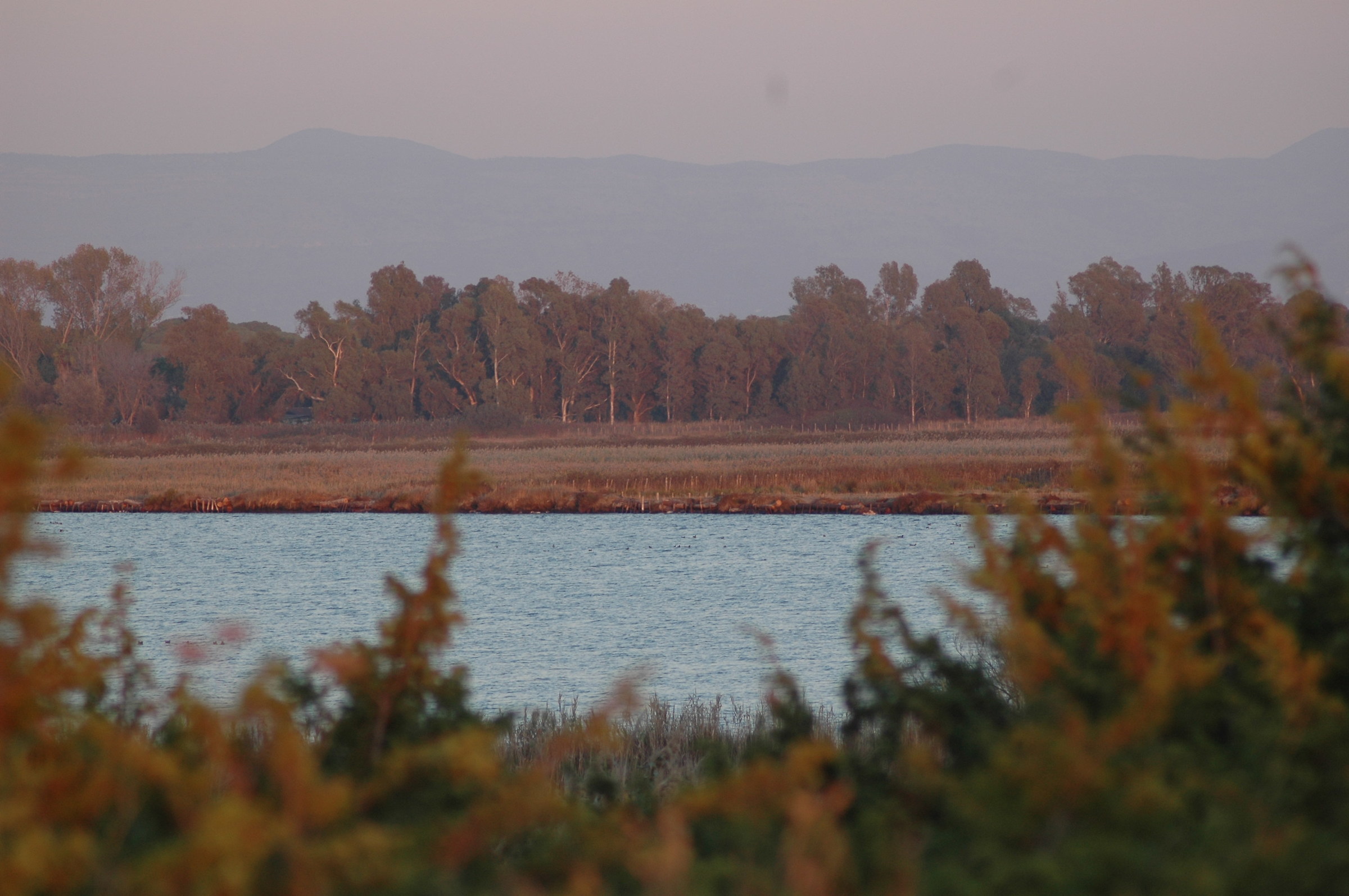 coastal brackish lakes, Sabaudia