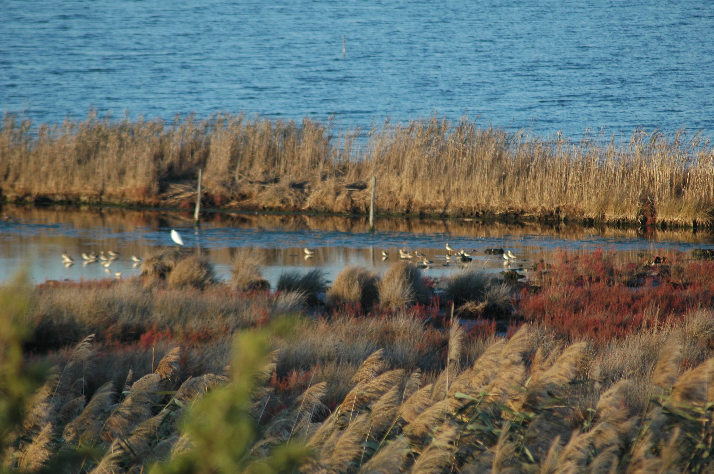 lake of the Sabaudia Monks