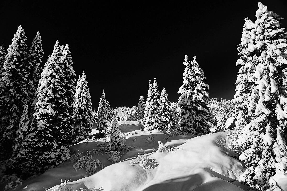 After the snowfall ...