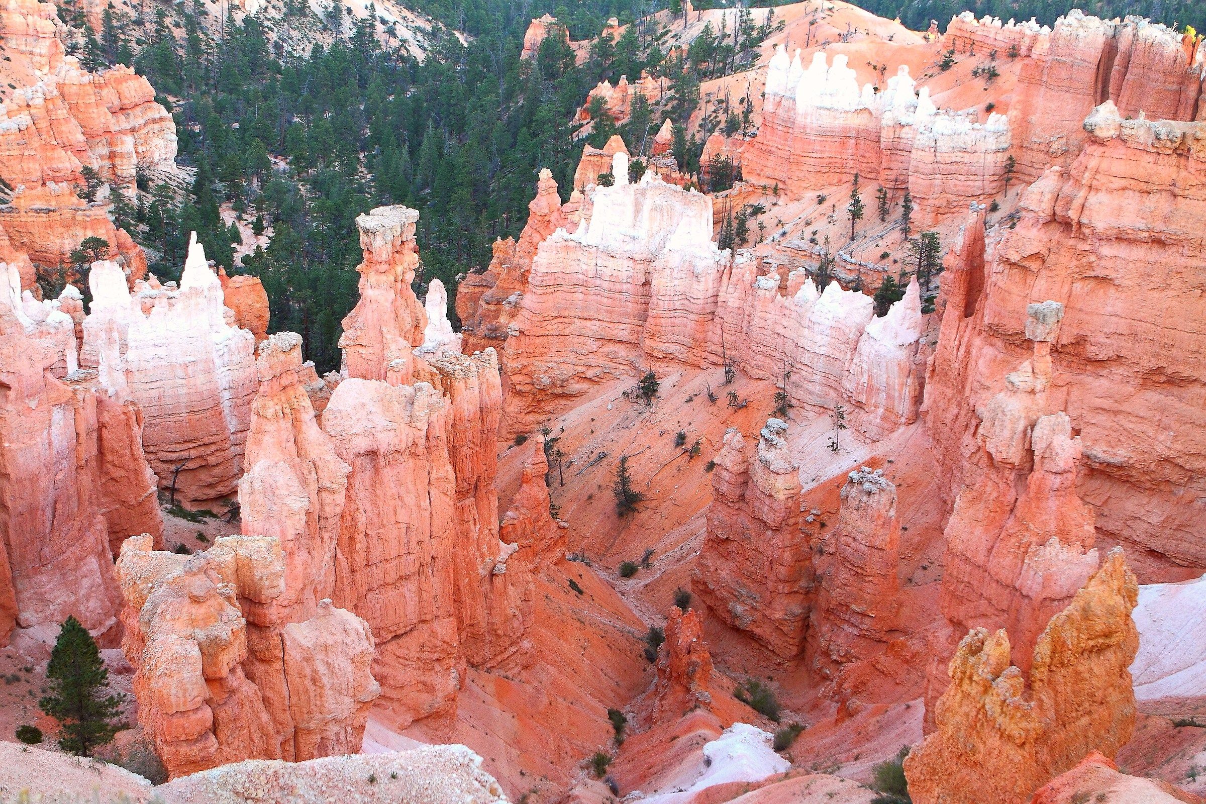 Bryce Canyon, Utah