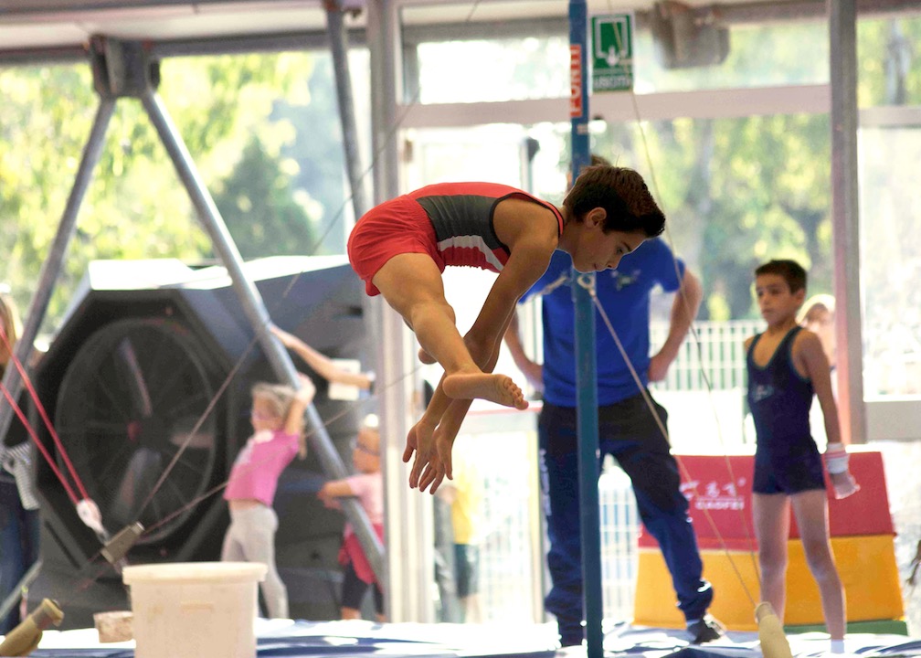Ginnastica Artistica