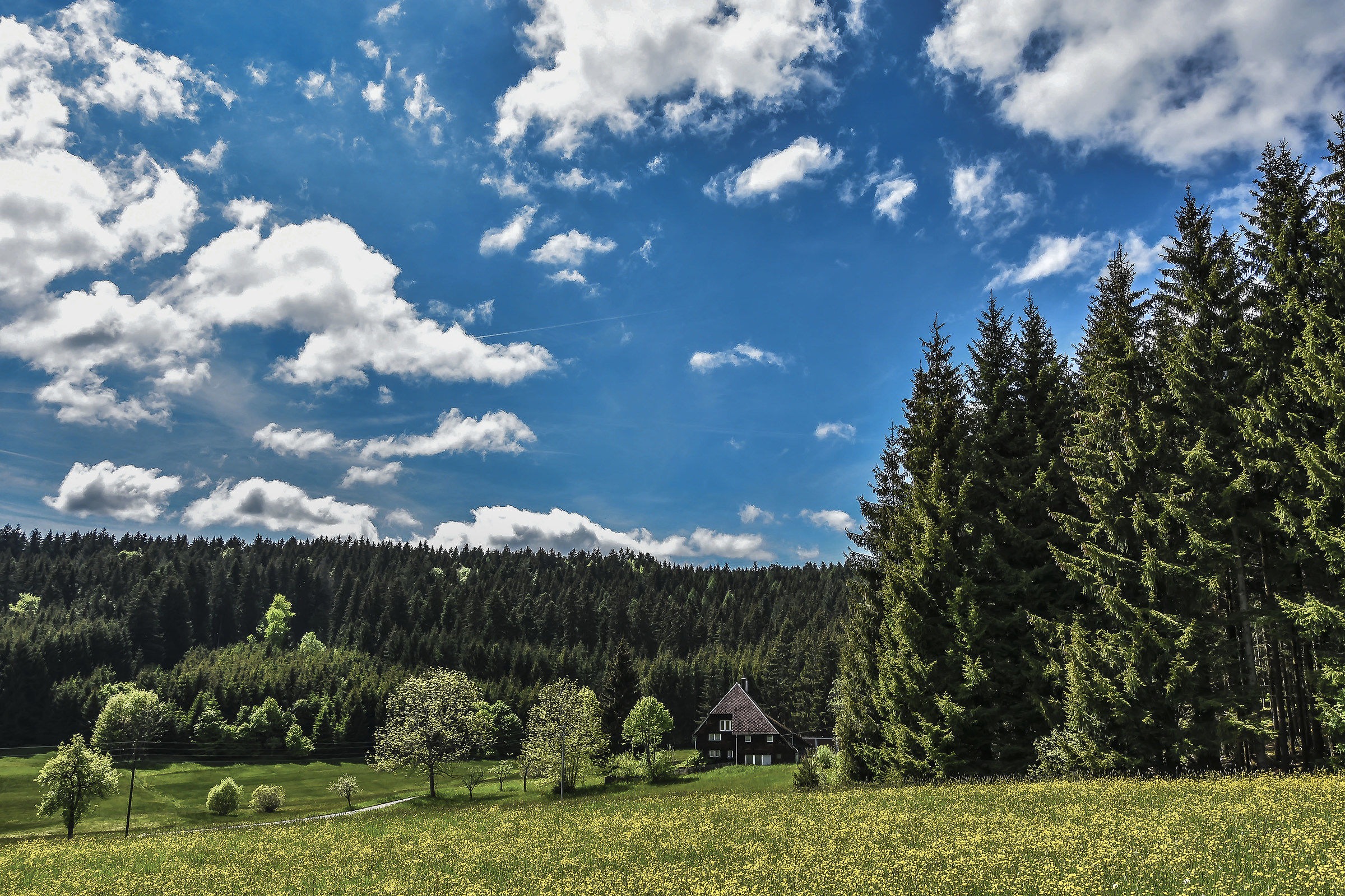 Spettacoli della natura