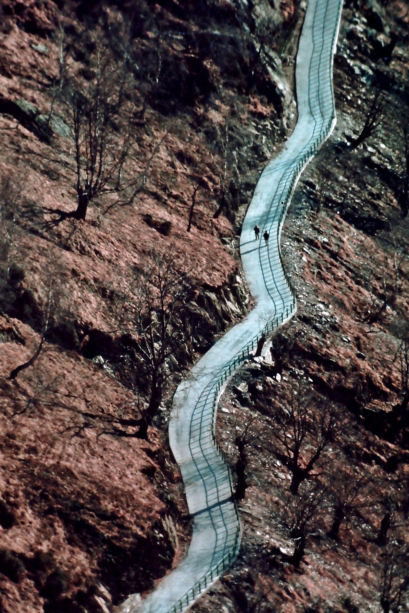 984 - il nastro invadente