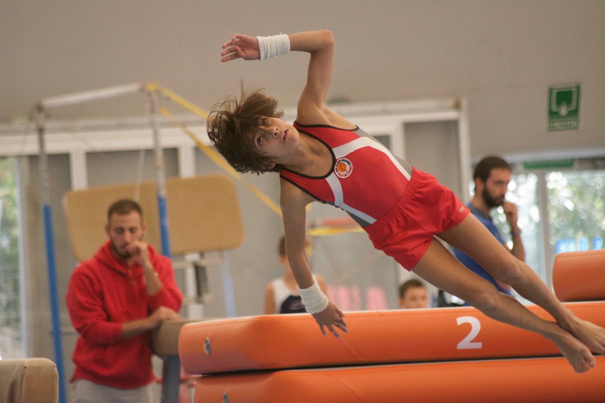 Ginnastica Artistica