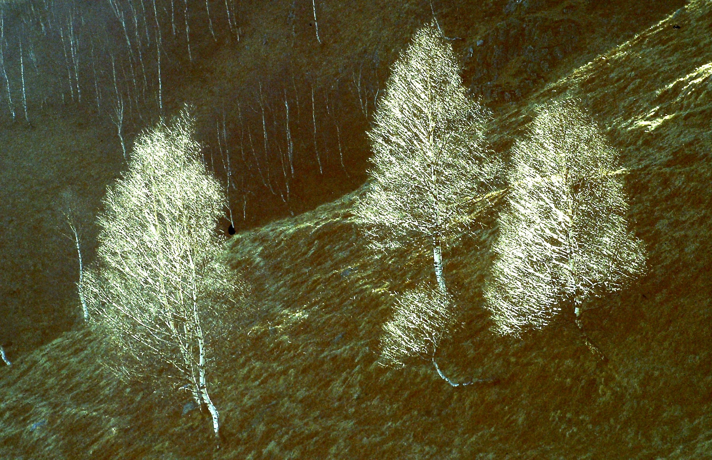 1046 - ultime spazzolate di sole