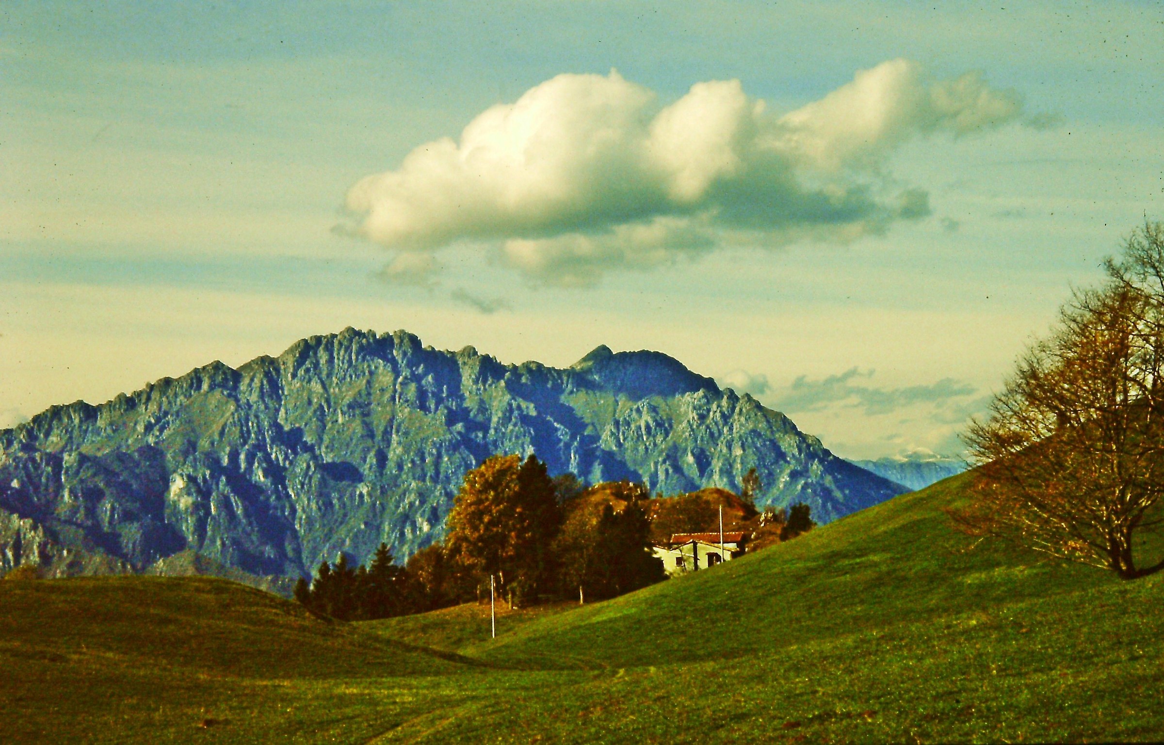 1305 - amena ruralità