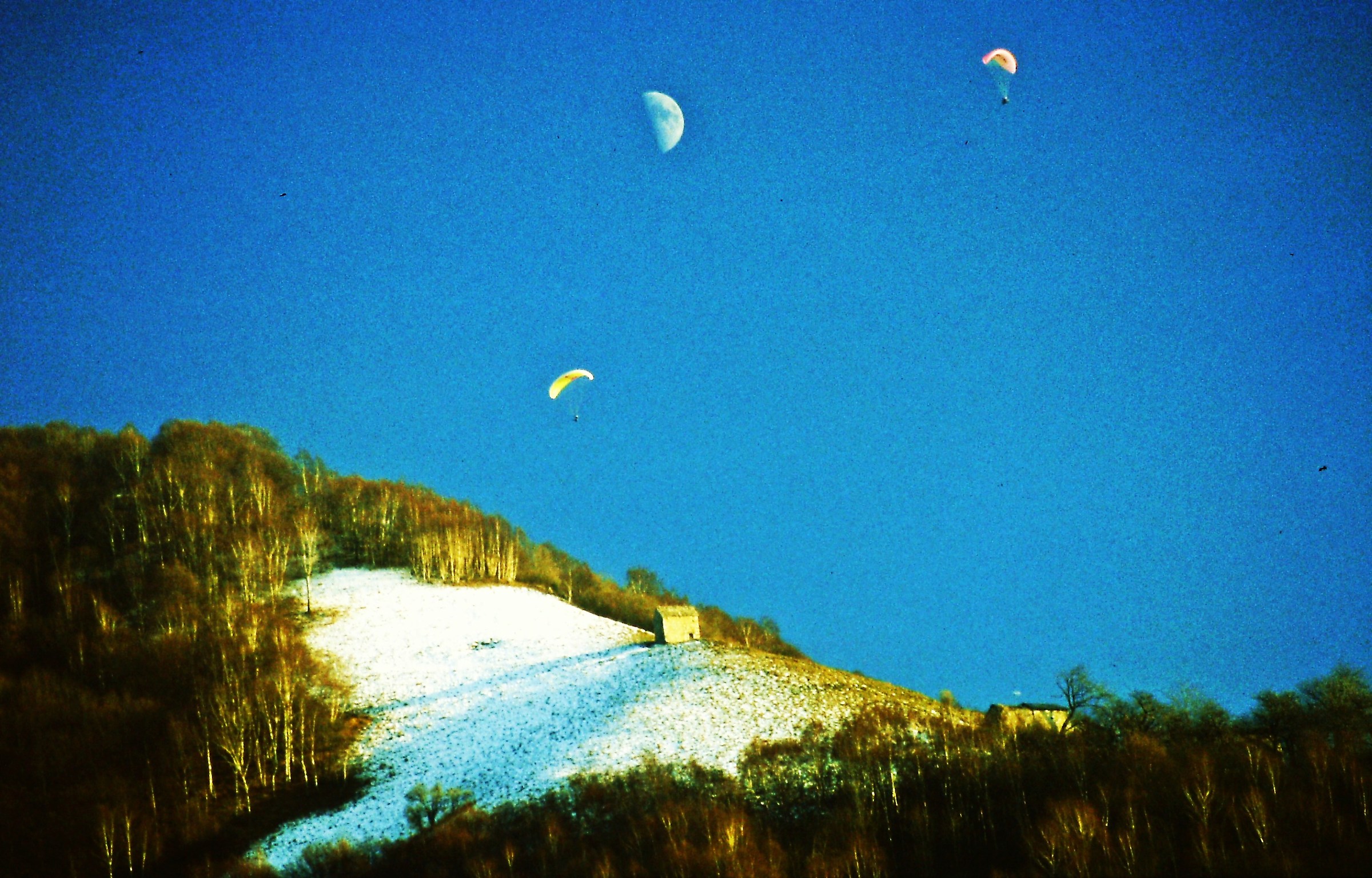 1335 - la danza in onore della luna