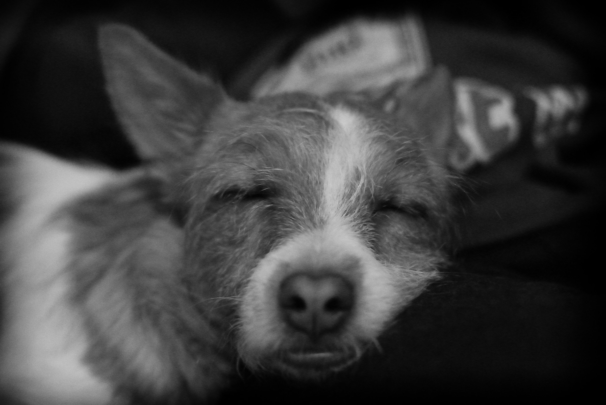 The warrior's rest ...