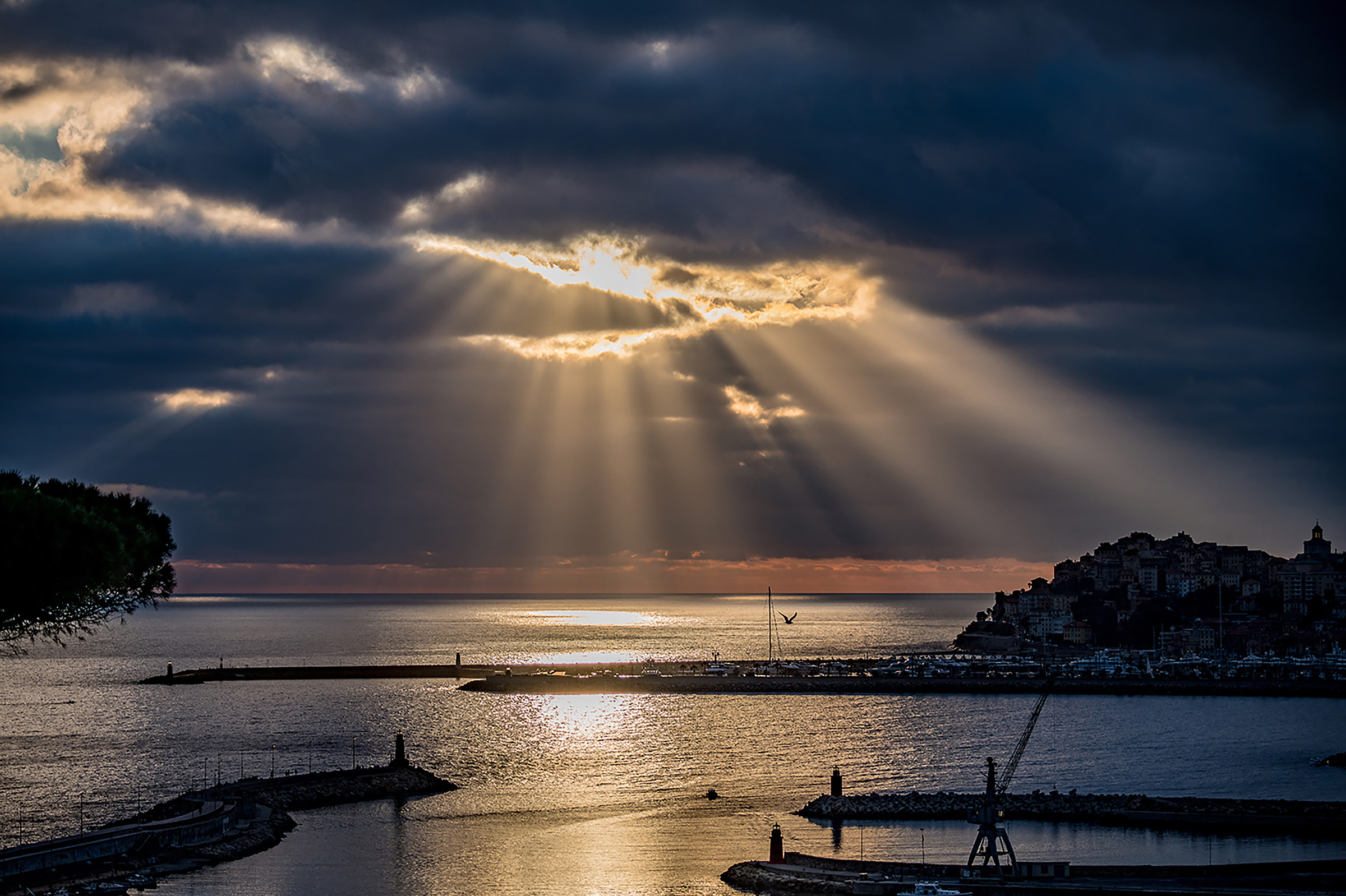 Tramonto con gabbiano