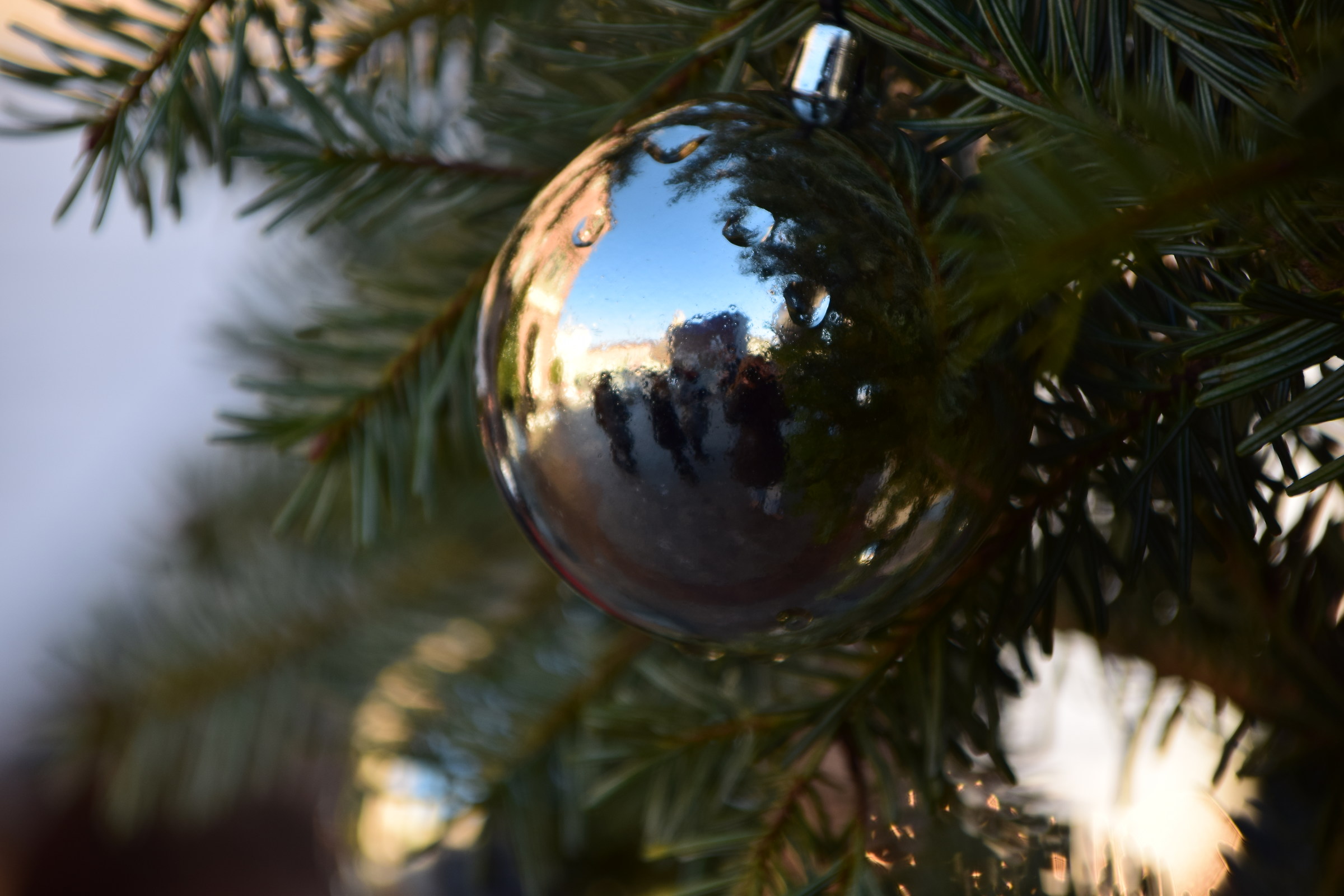Christmas reflections