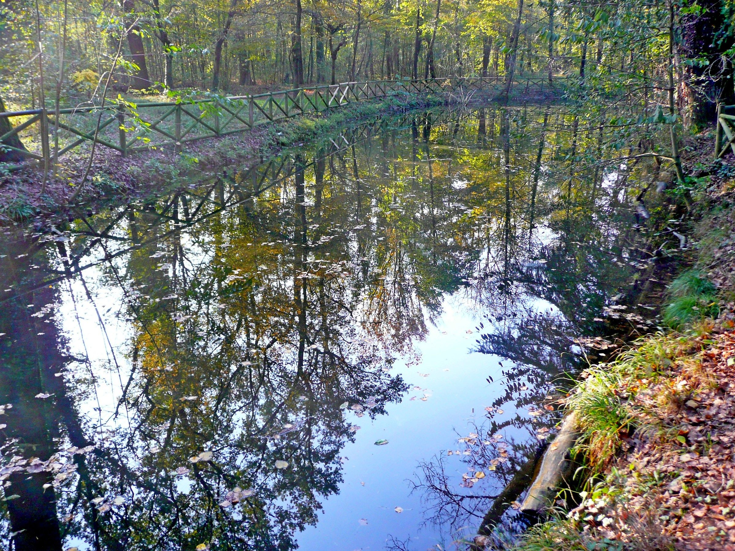 reflections in the park of the Royal villa