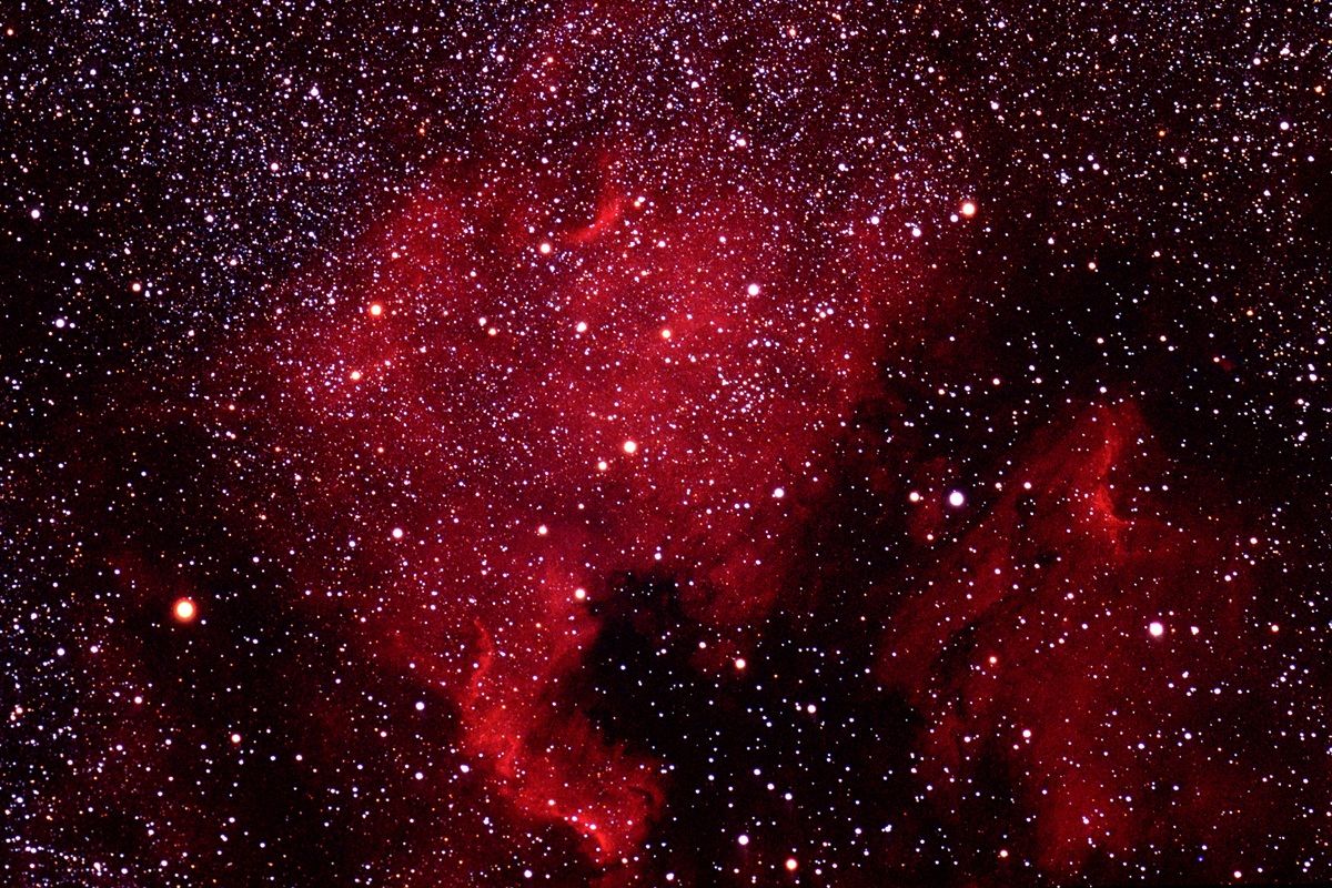 Nord America e Pellicano