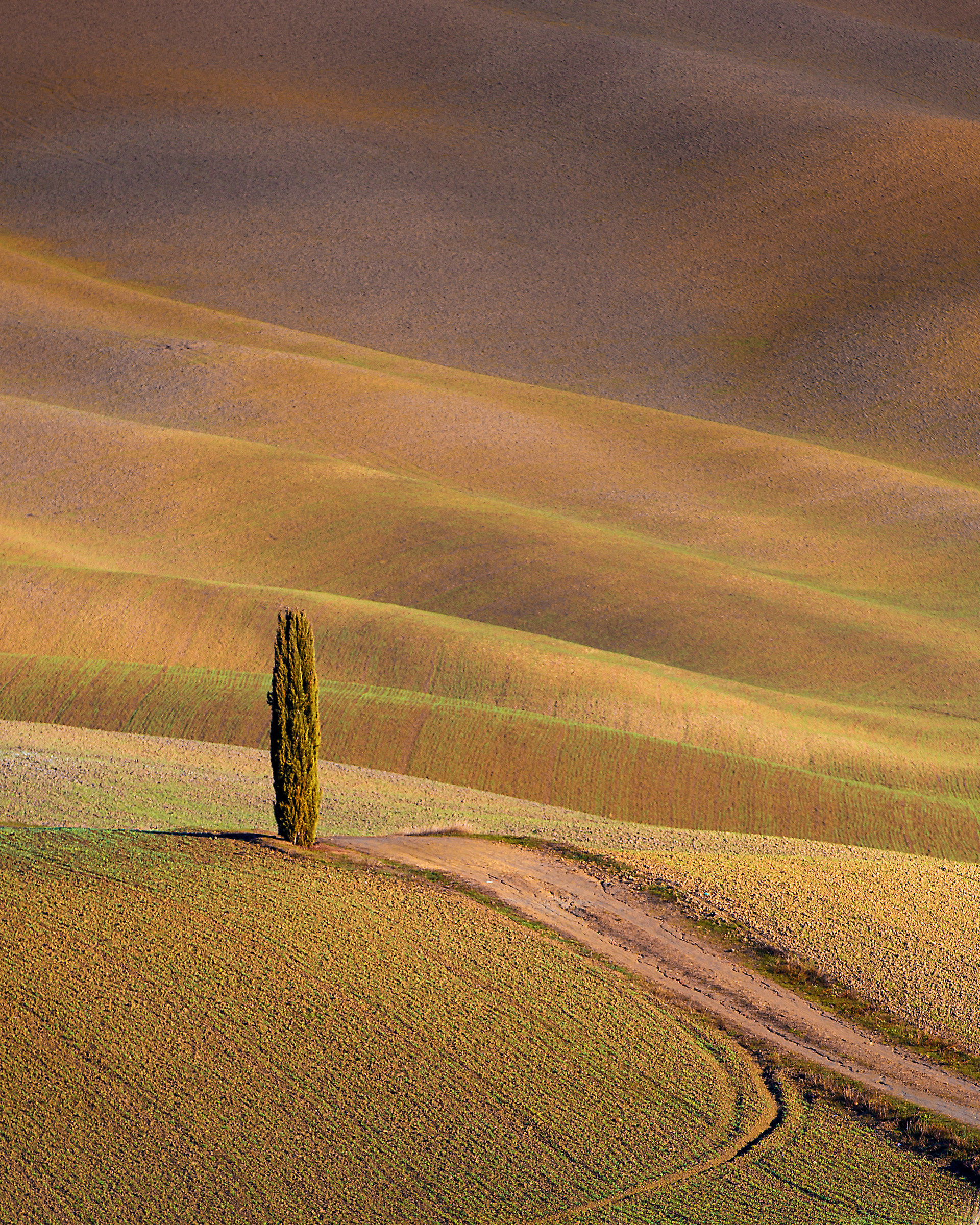 San Quirico D'Orcia