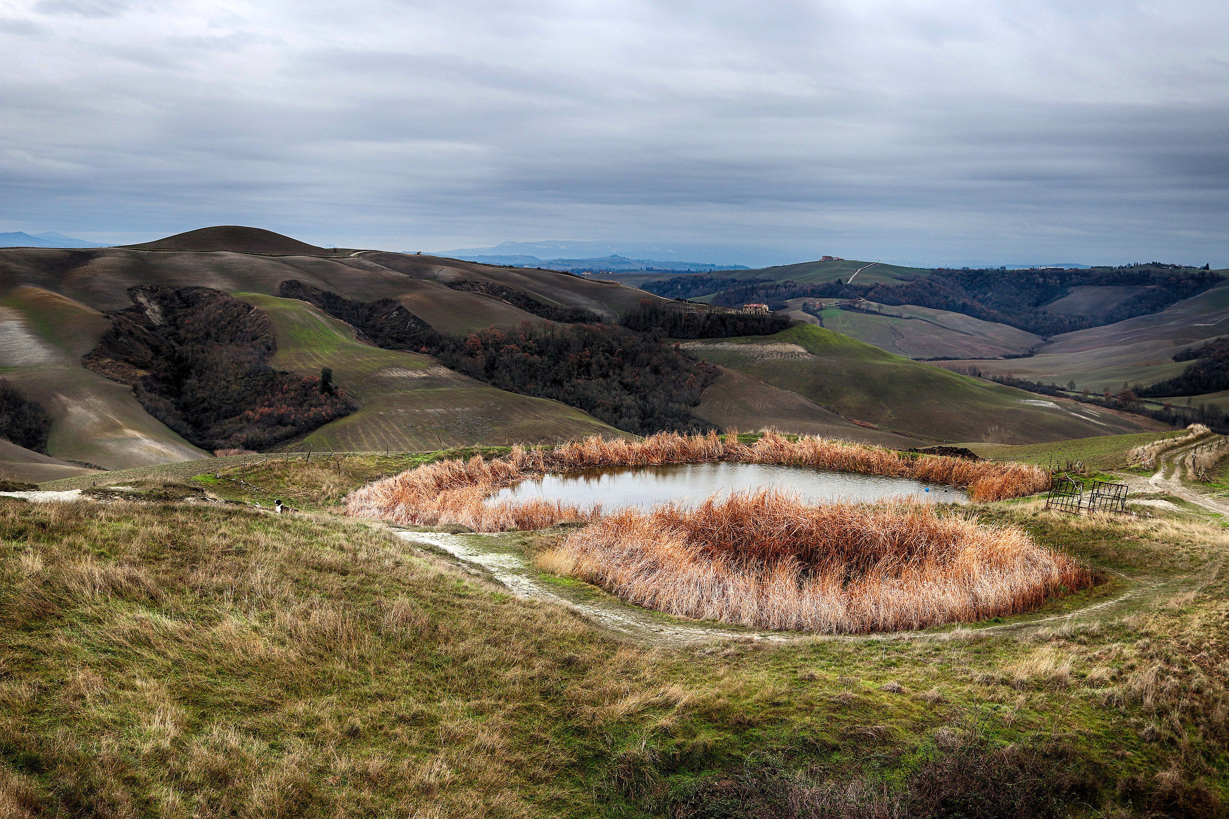 Crete senesi