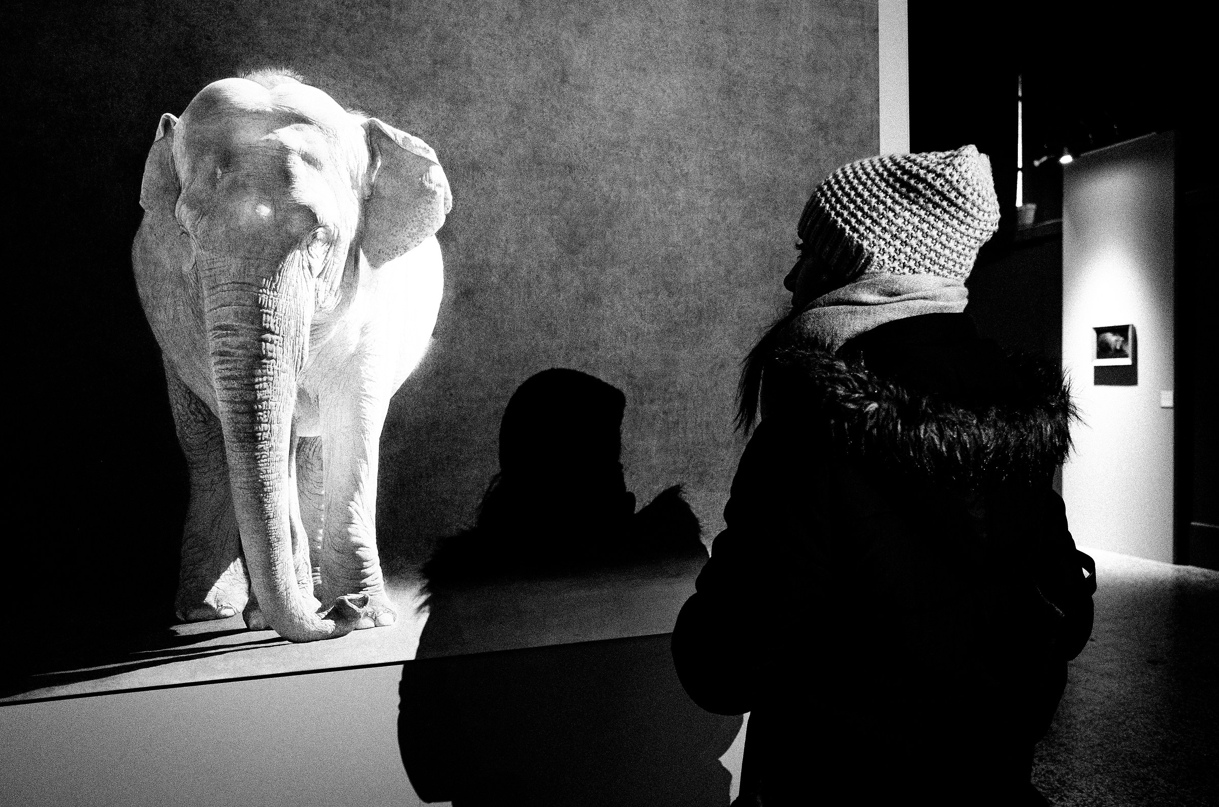 Milano_People 2017.12.10