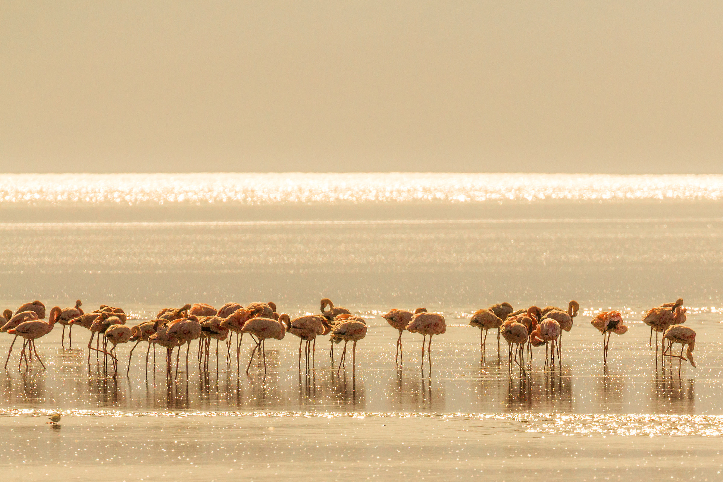 Lake Natron