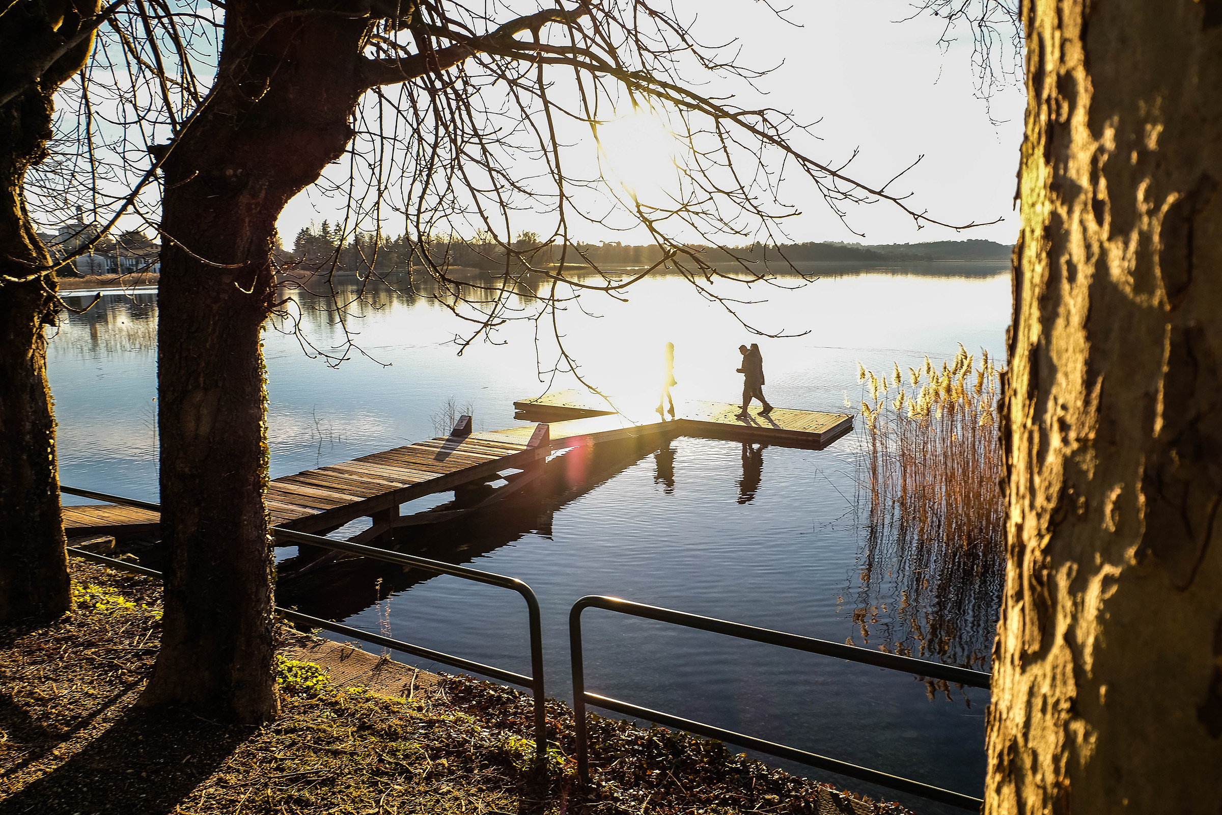 ombre in controluce...