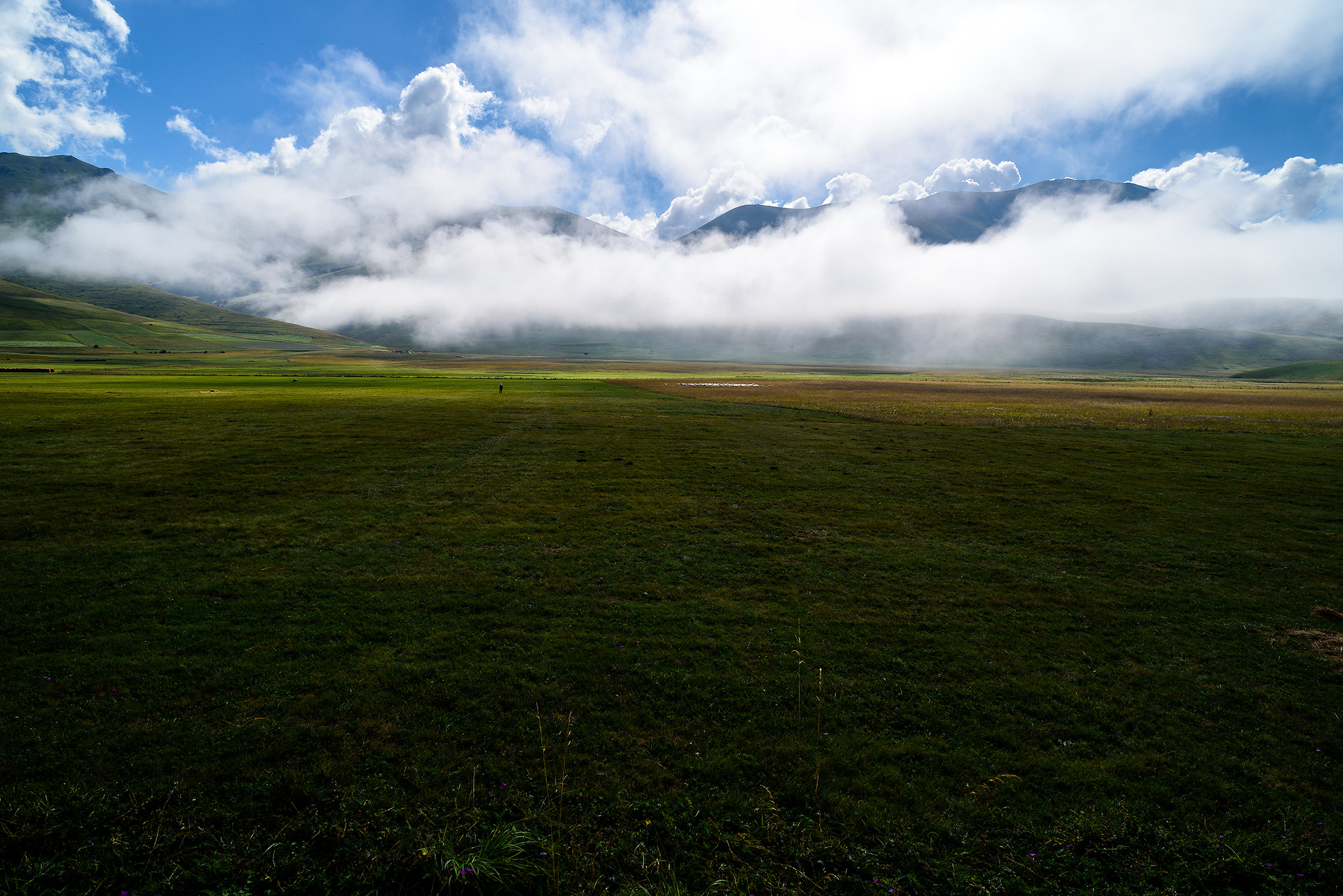 Una foto all'anno: Castelluccio