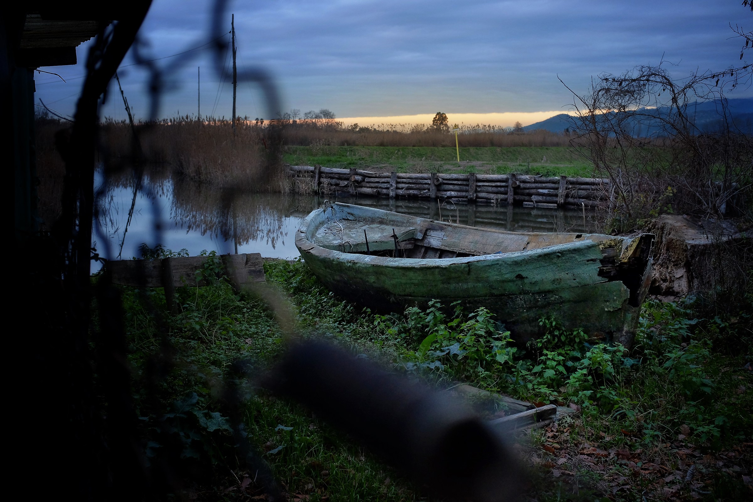 The boat in the woods