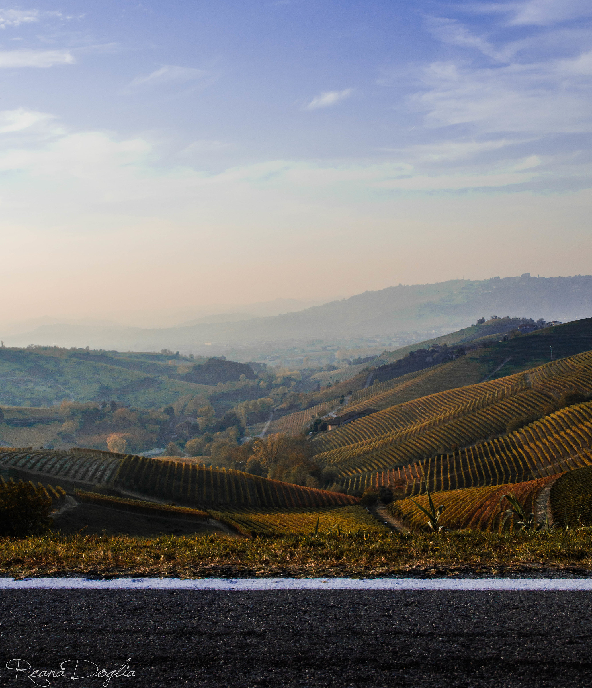 Terre del Barbaresco