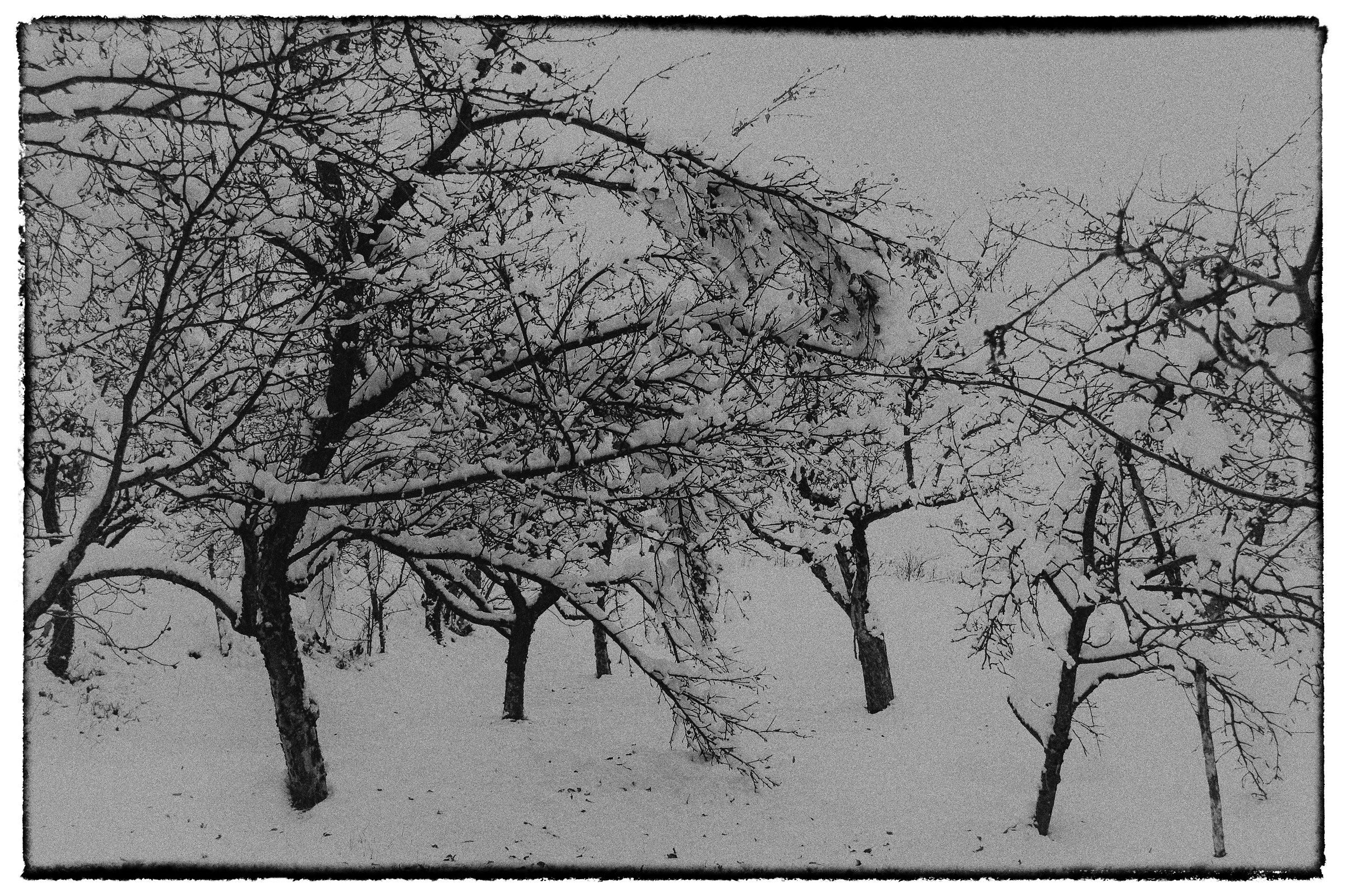 Brrrrrrrr ............. nr, 3