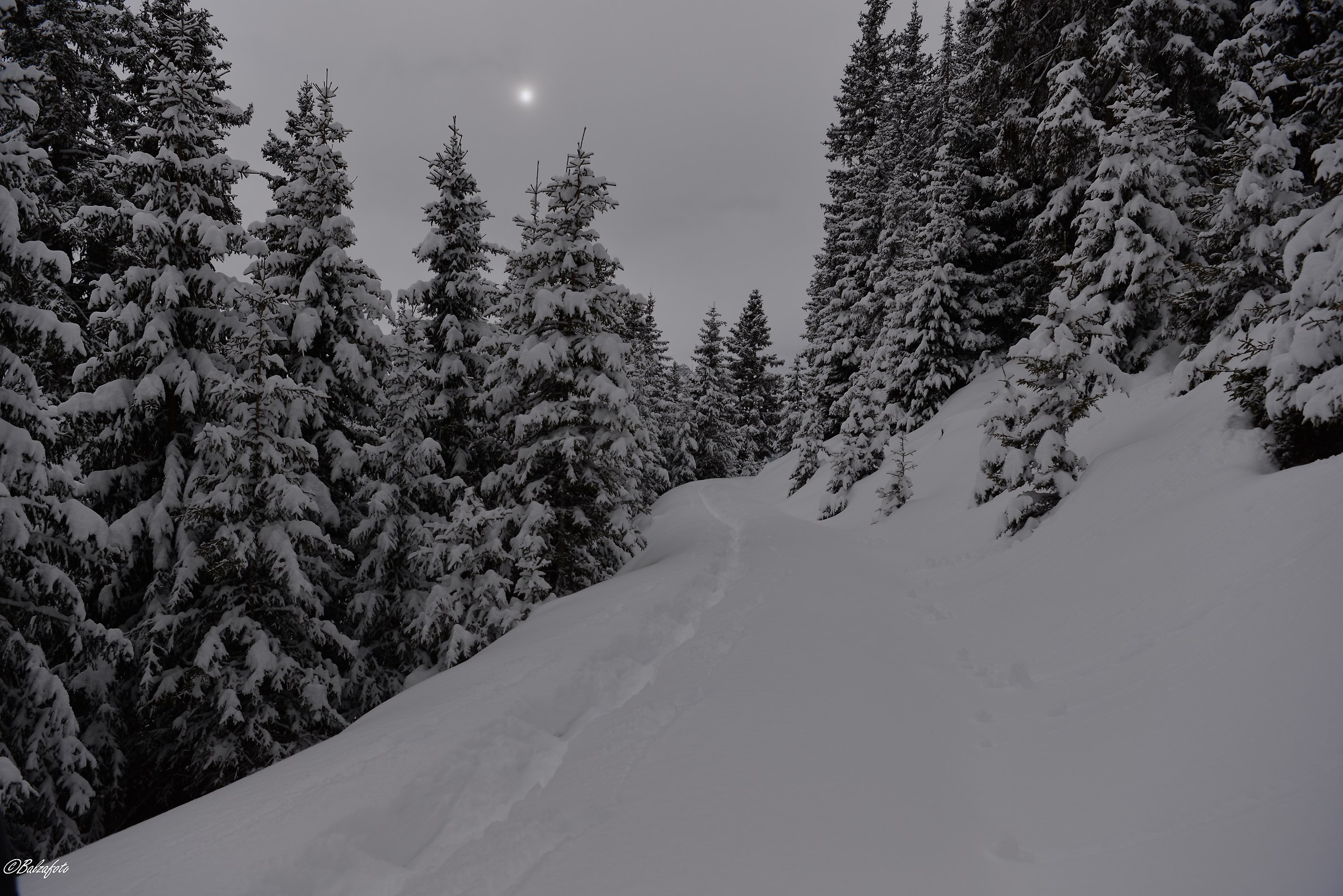 Snowshoeing, along snow-covered paths