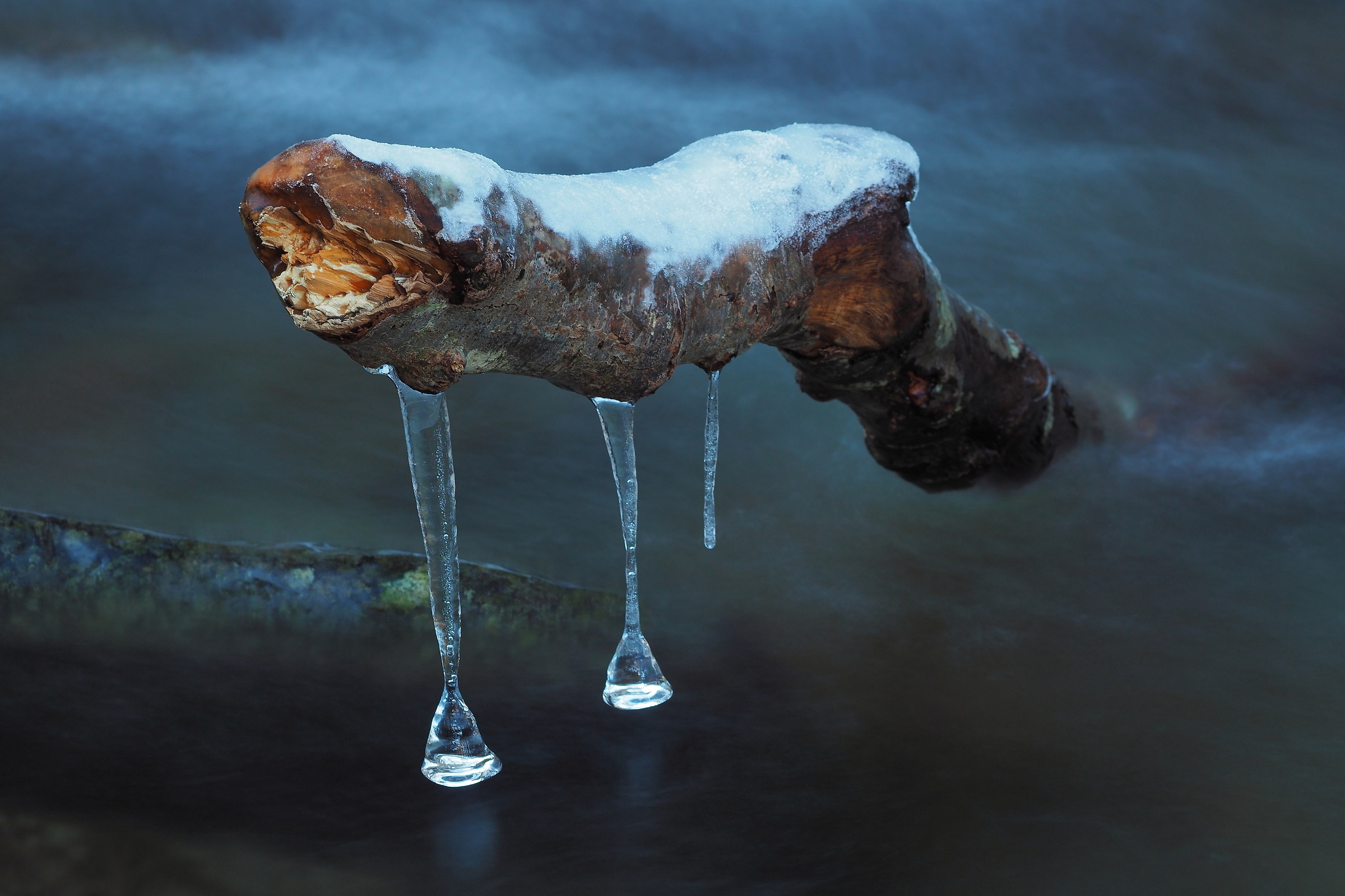 A nice pair of earrings