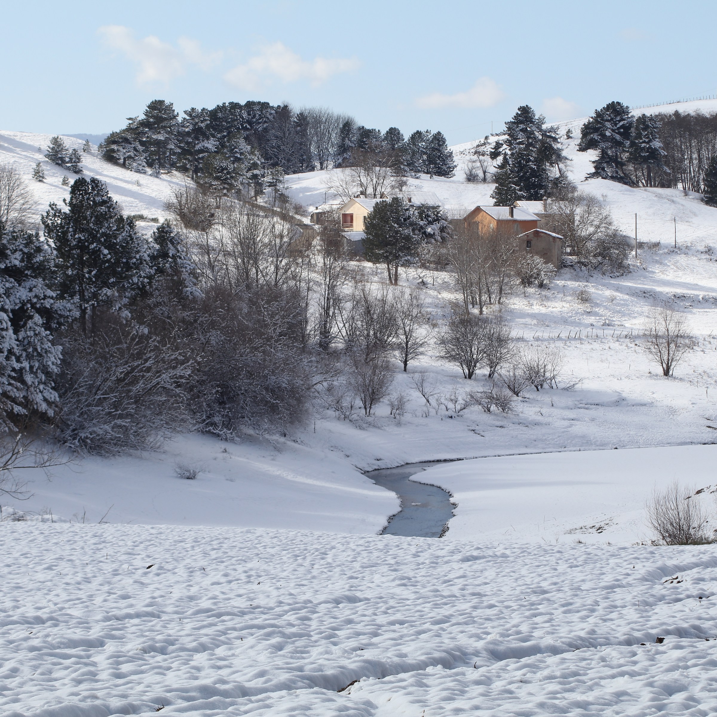 Snow in Sila .. Calabria