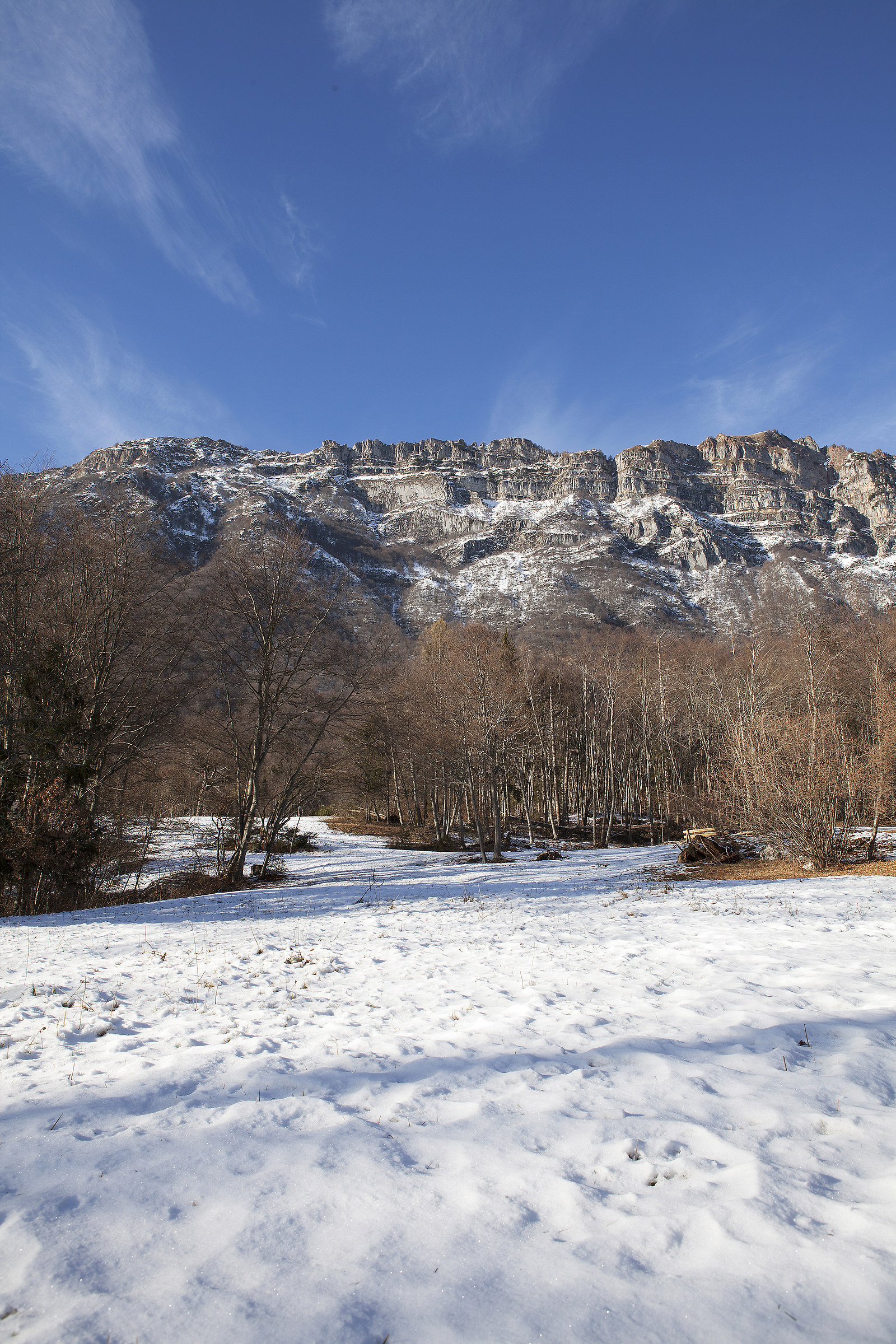The snow-covered Bondone blades