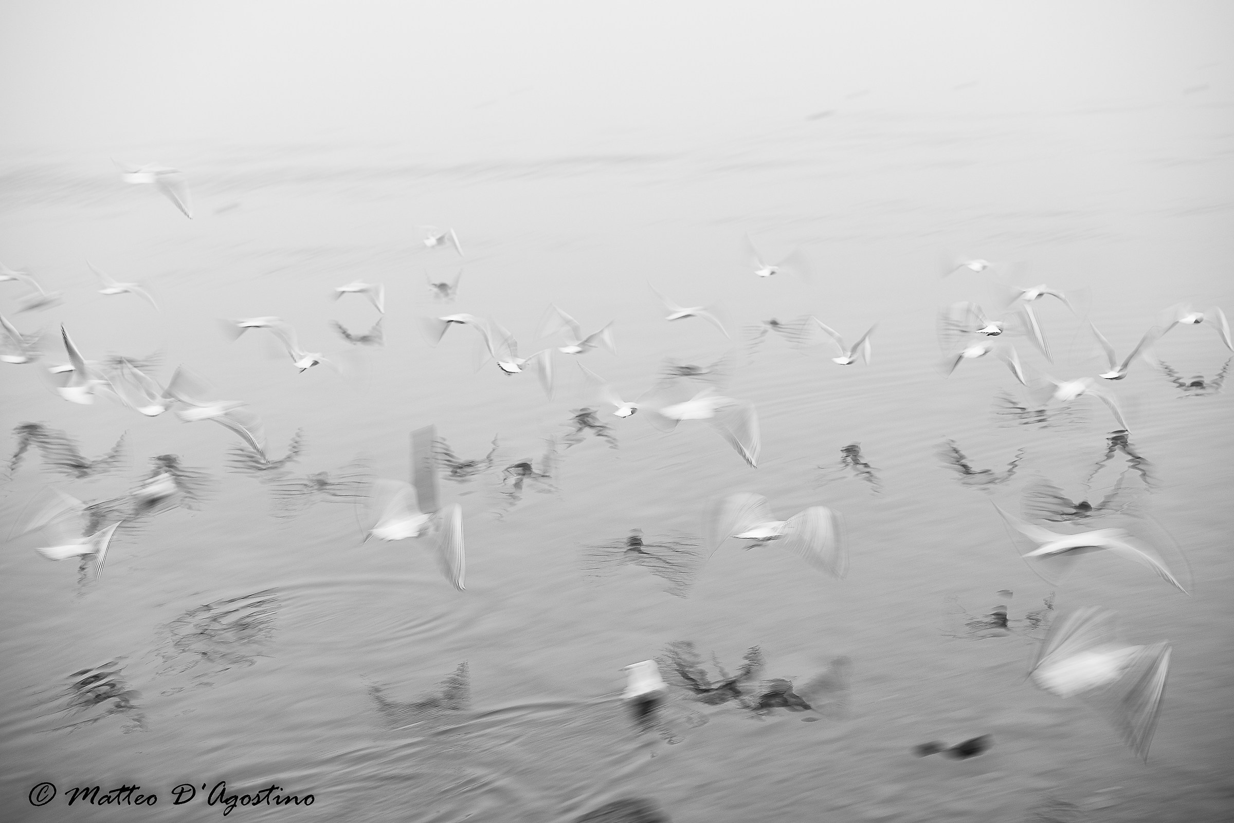 like so many ghosts ...