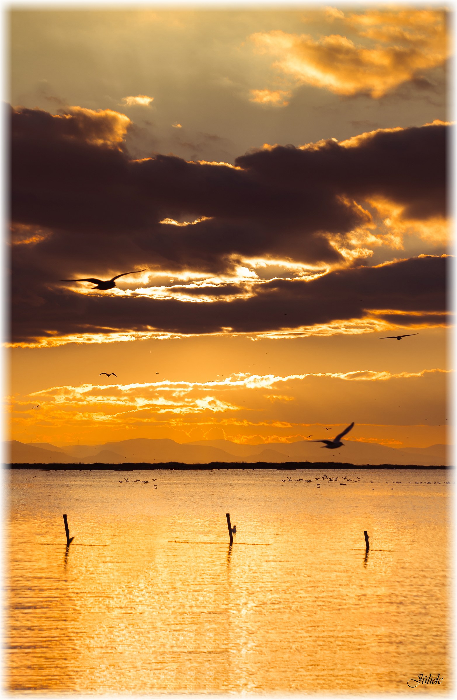 My Last Sunset in 2017