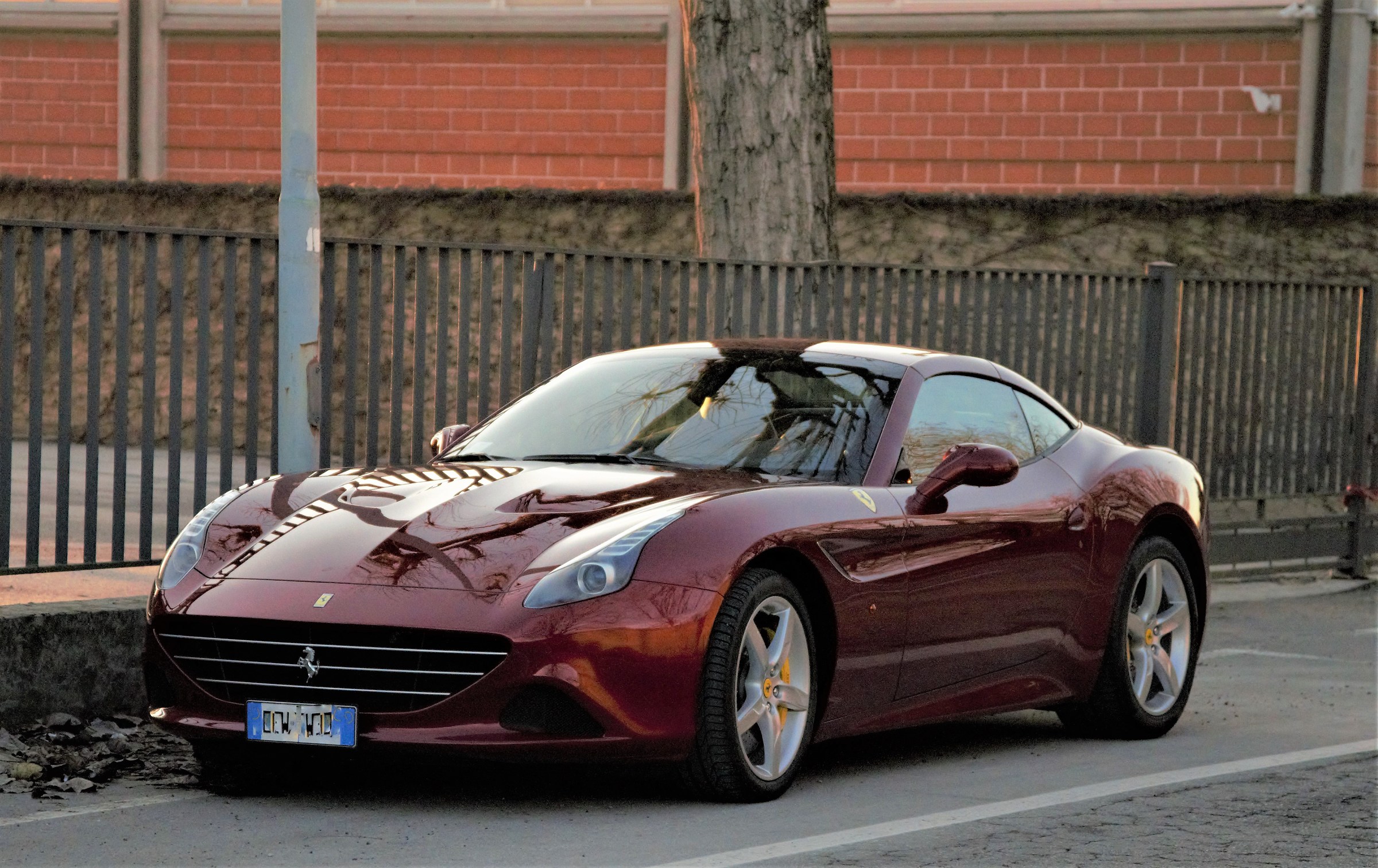 Cavallino