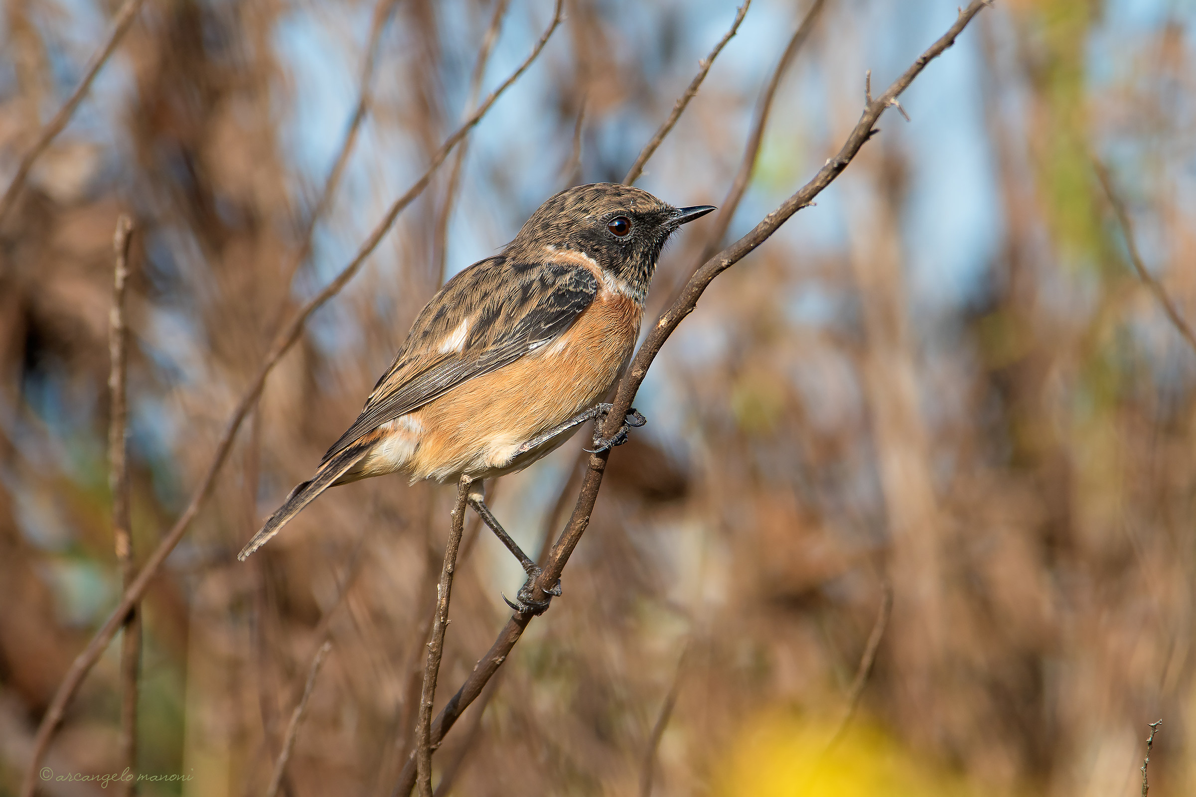 Looking for the lost pole