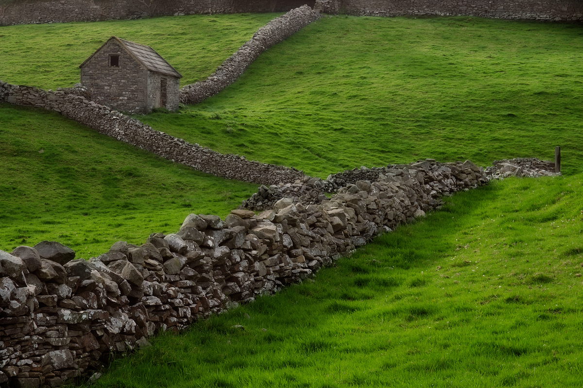 The Stones and the Grass