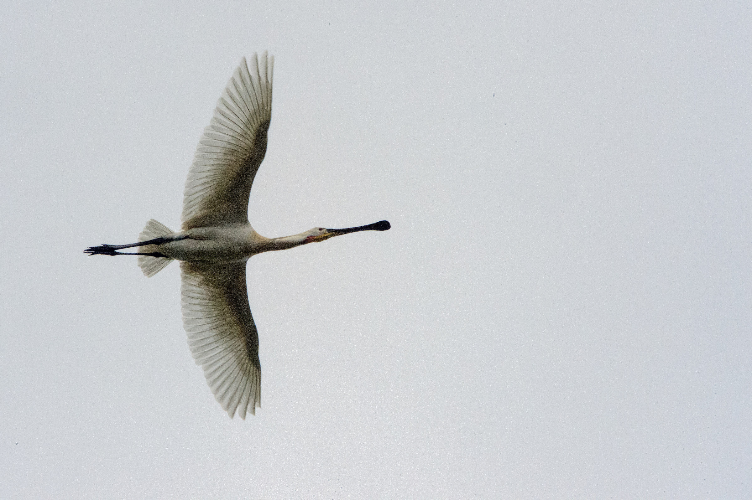 attempt at symmetries