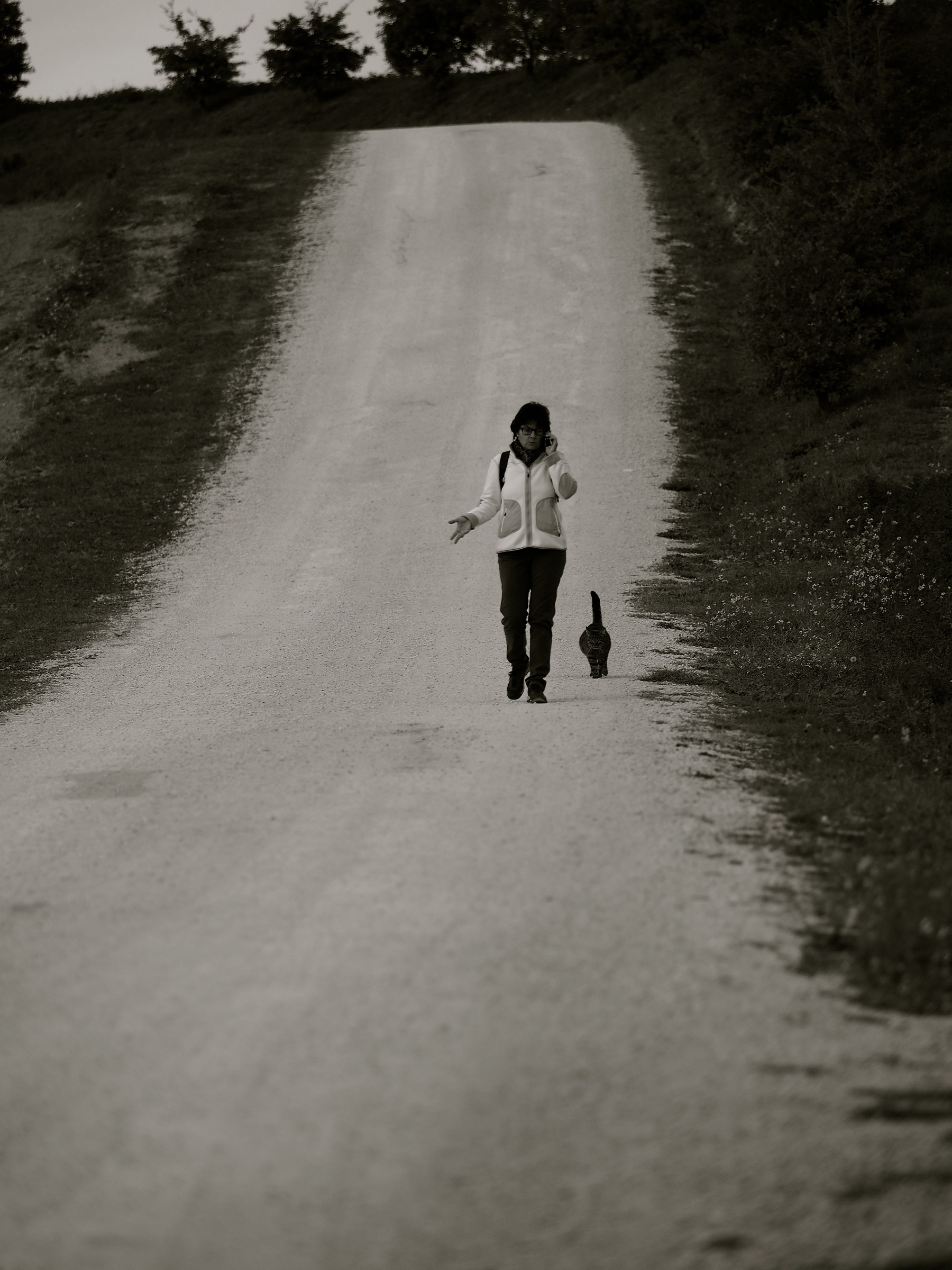 c'è qualcuno che mi segue